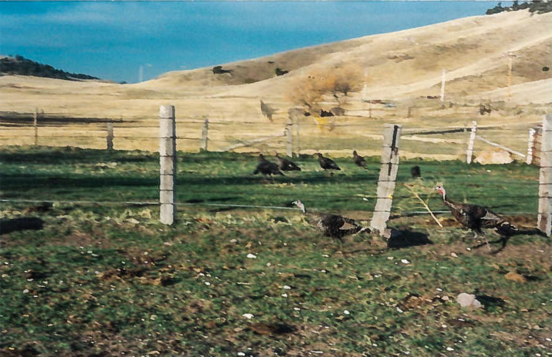 Denny Ranch property picture 22 of 24