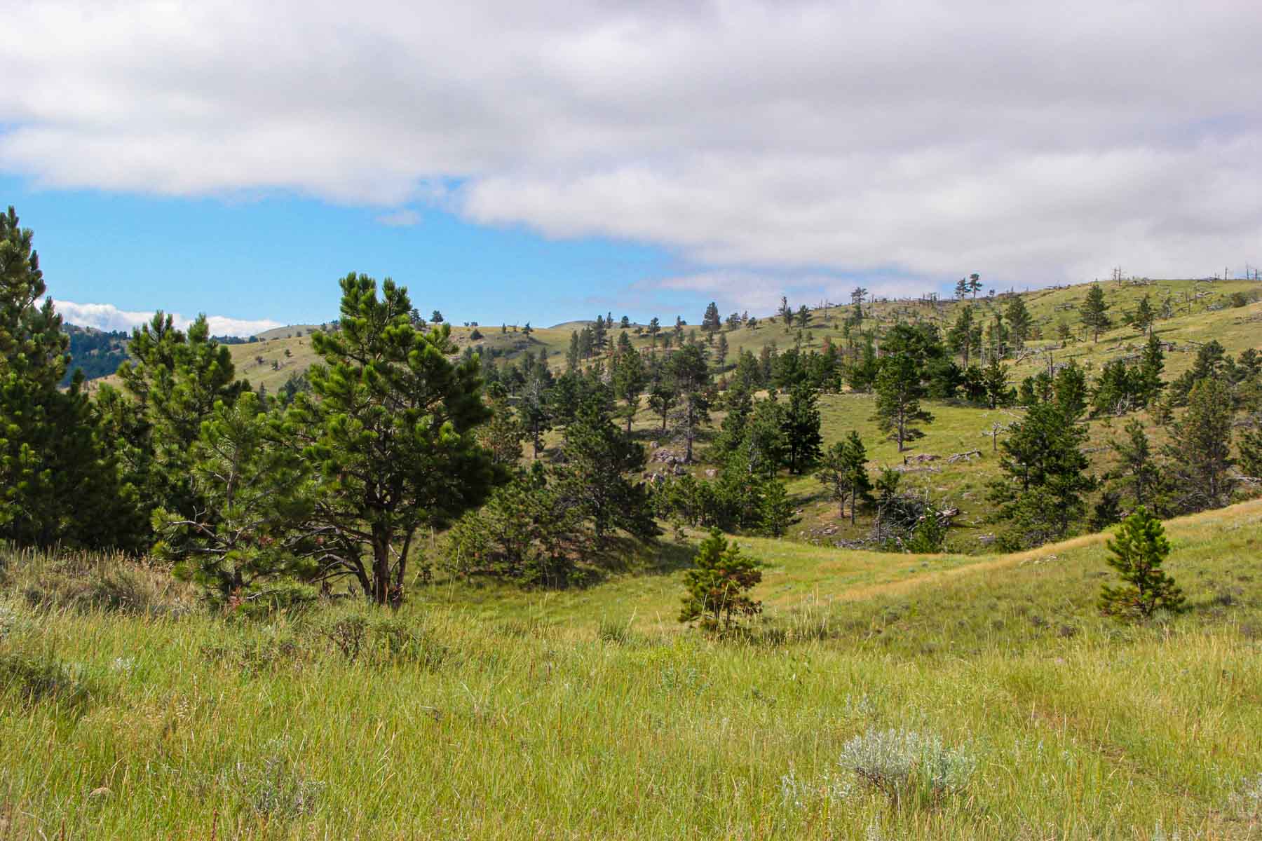 Denny Ranch property picture 7 of 24