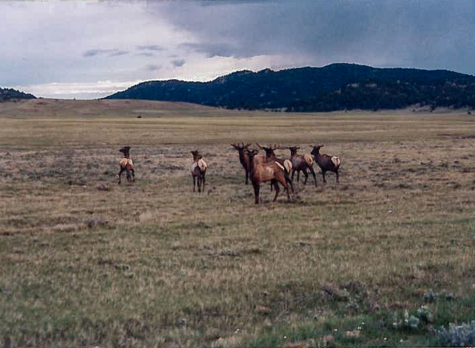 Denny Ranch property picture 21 of 24