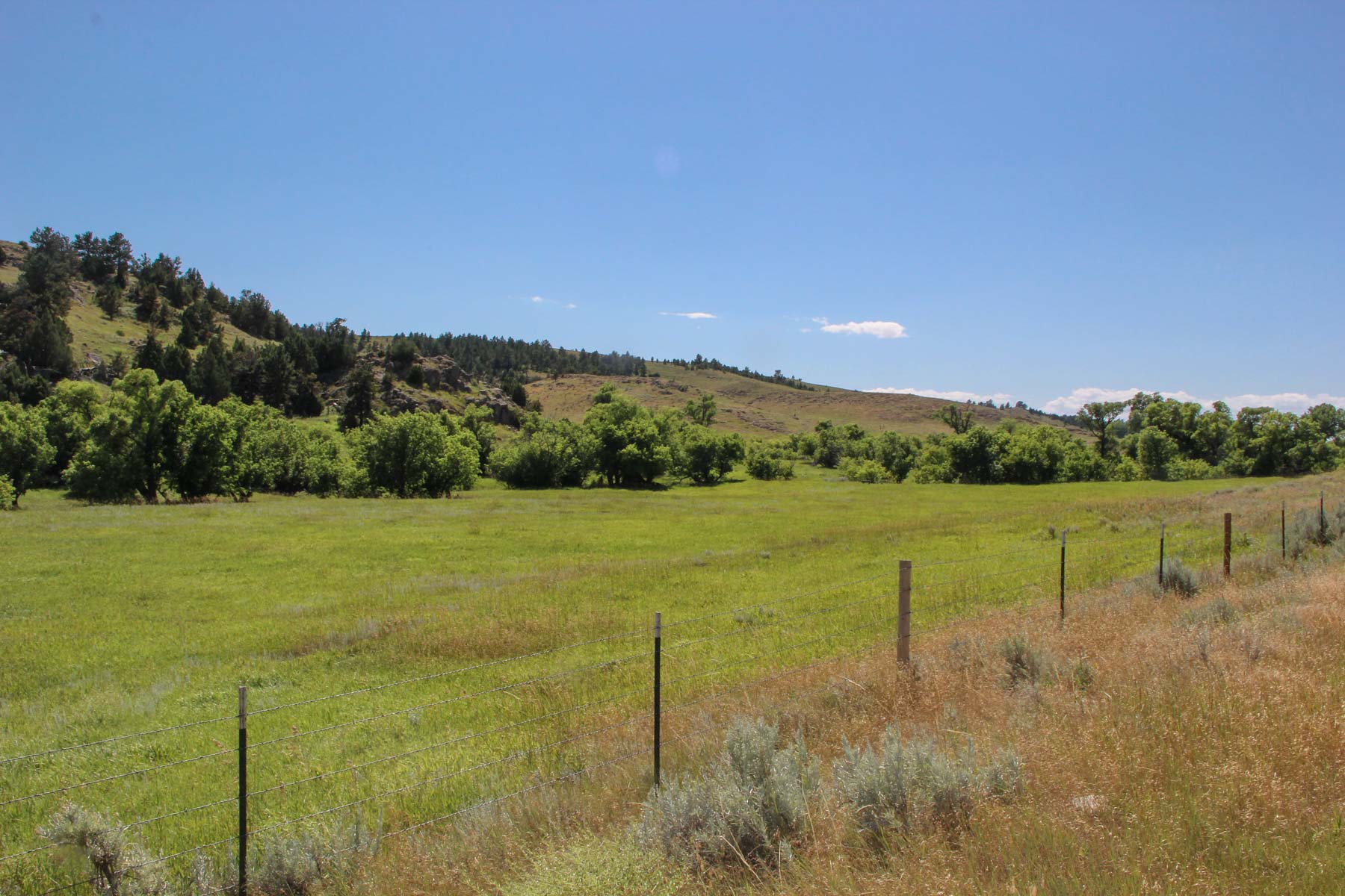 Denny Ranch property picture 16 of 24