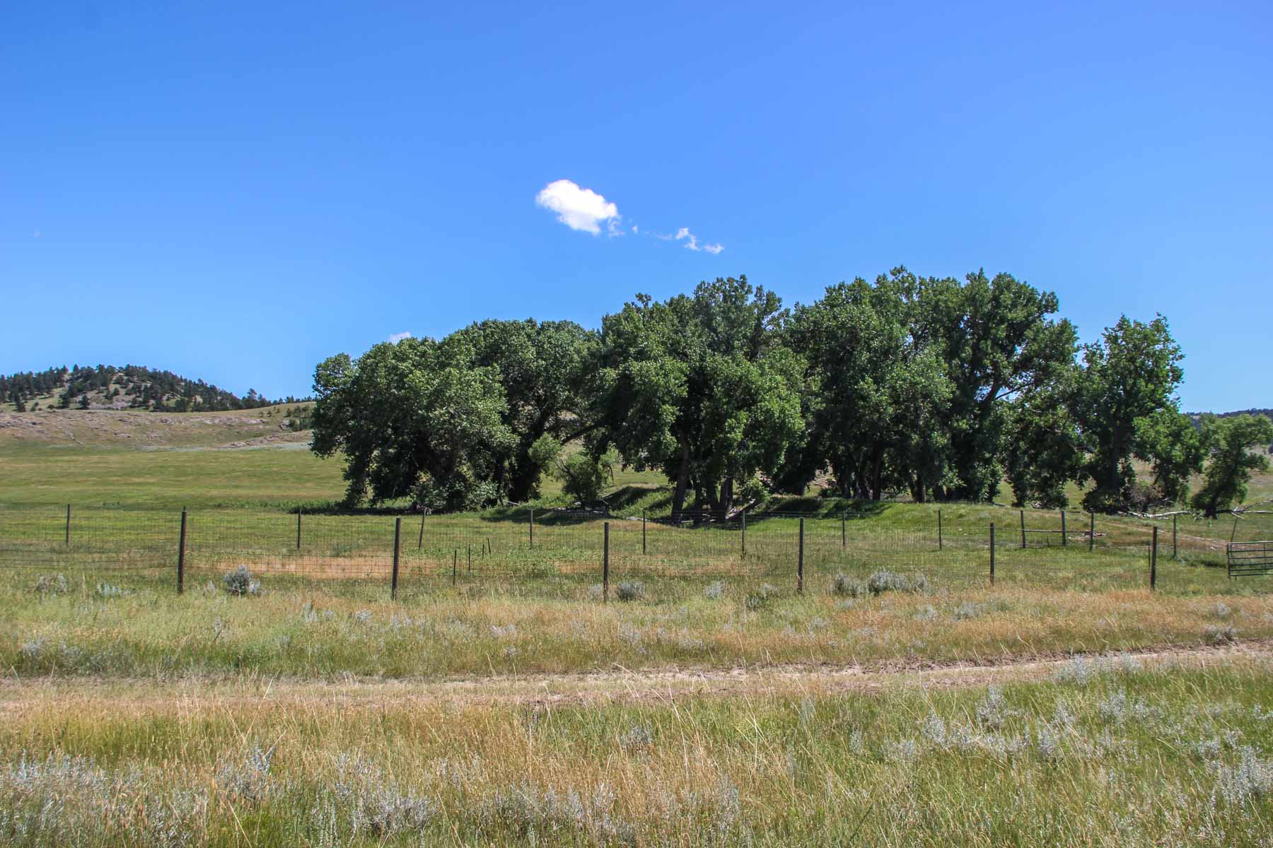 Denny Ranch property picture 9 of 24