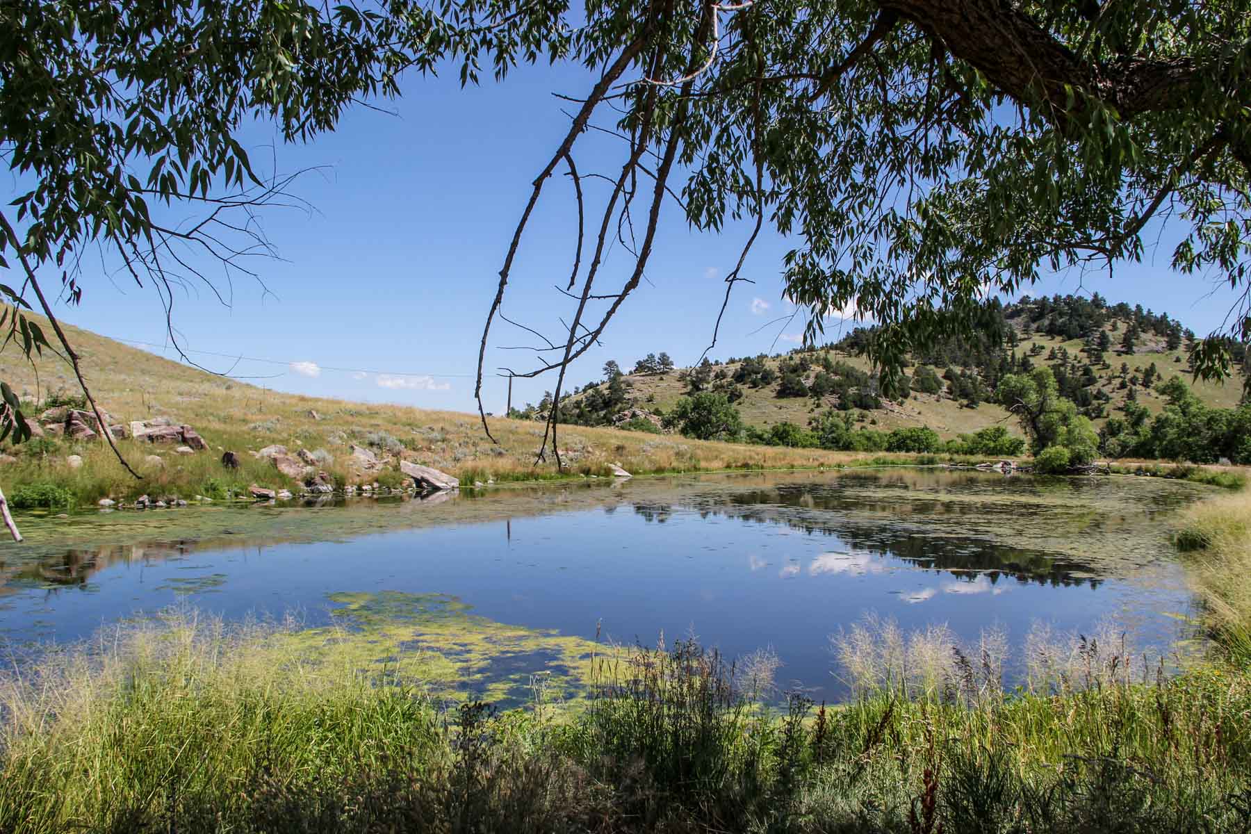 Denny Ranch property picture 18 of 24