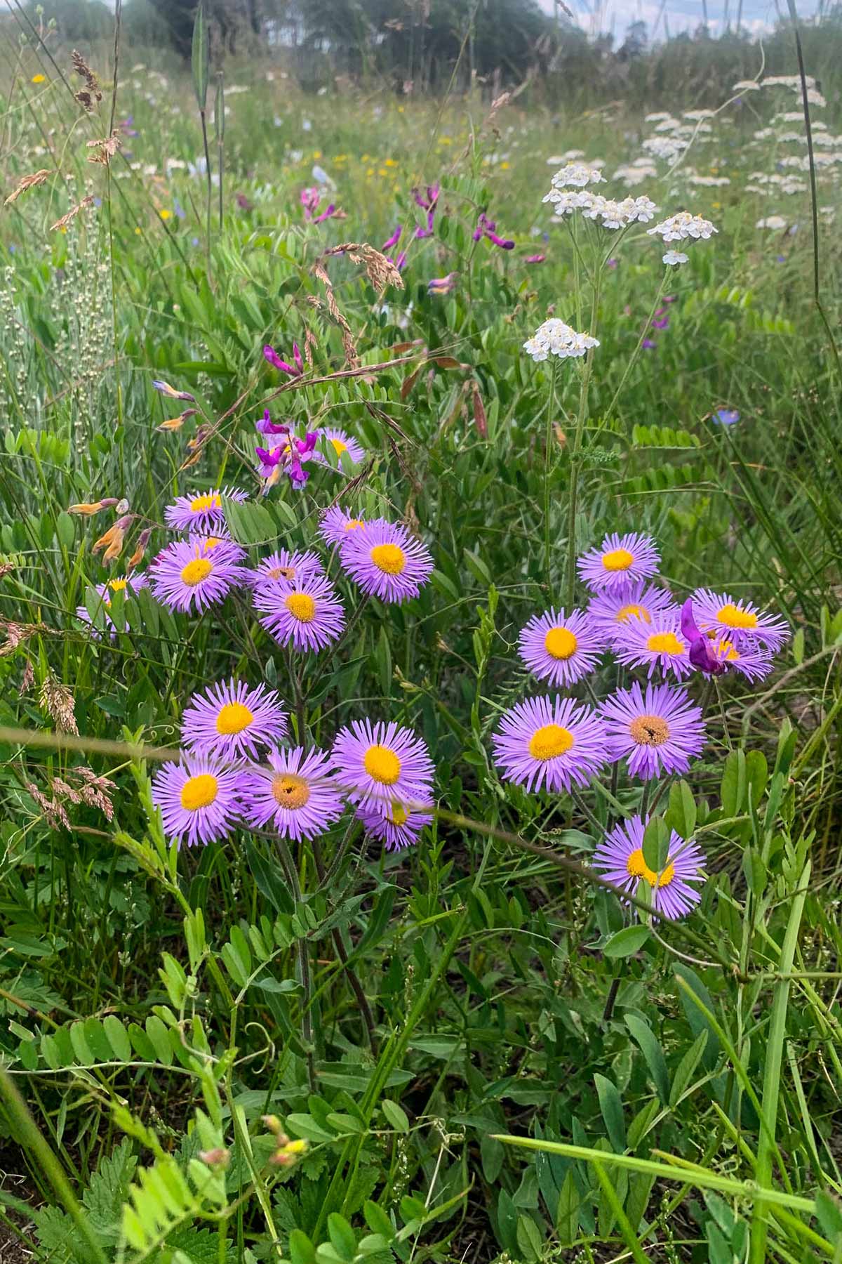Powderhorn Ranch property picture 47 of 49