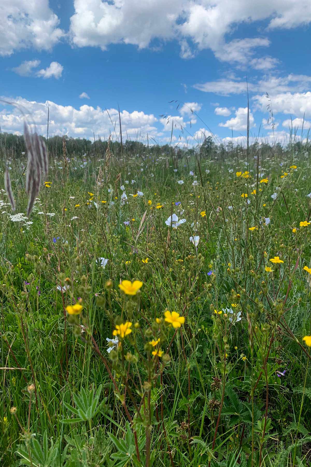 Powderhorn Ranch property picture 17 of 49