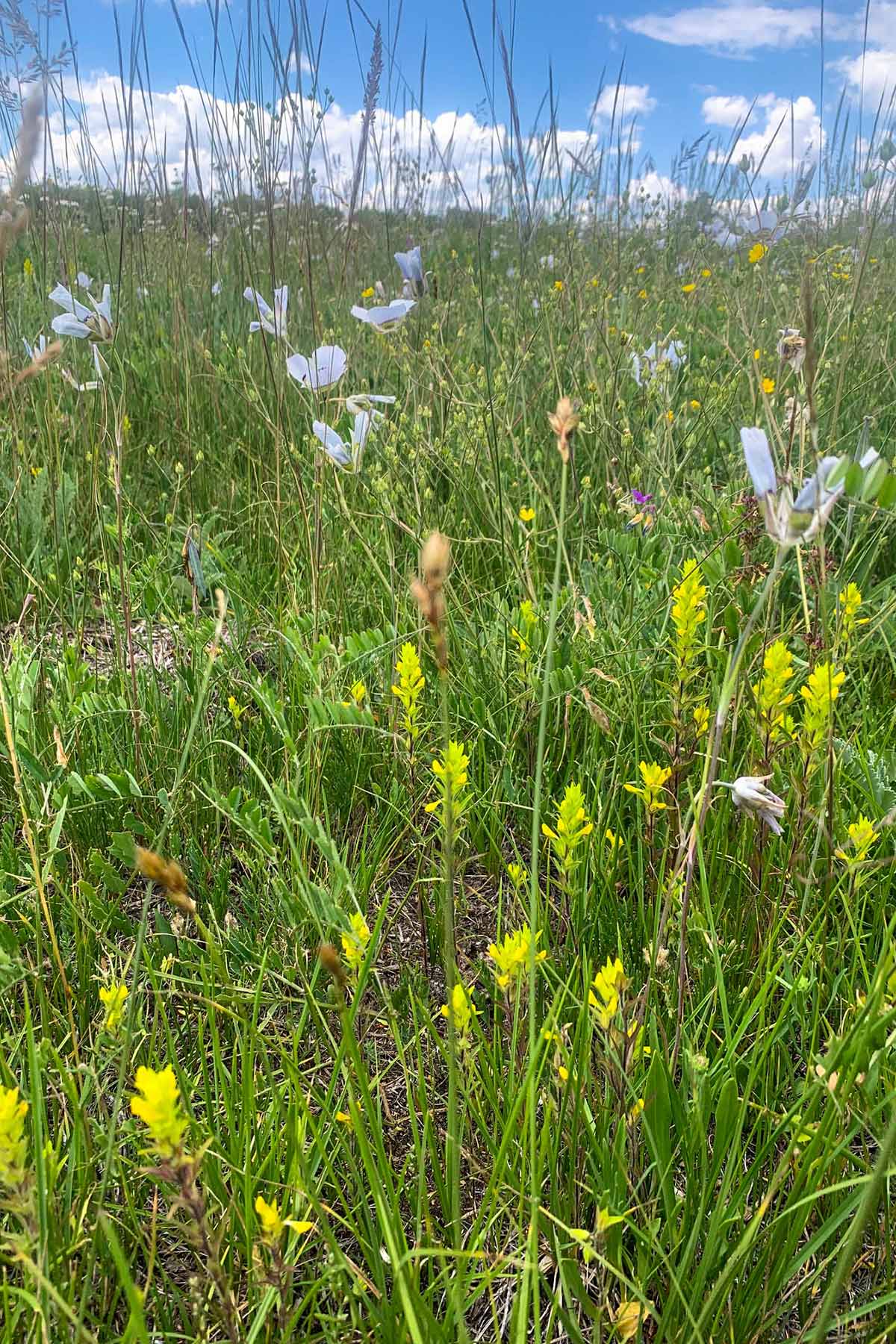 Powderhorn Ranch property picture 22 of 49