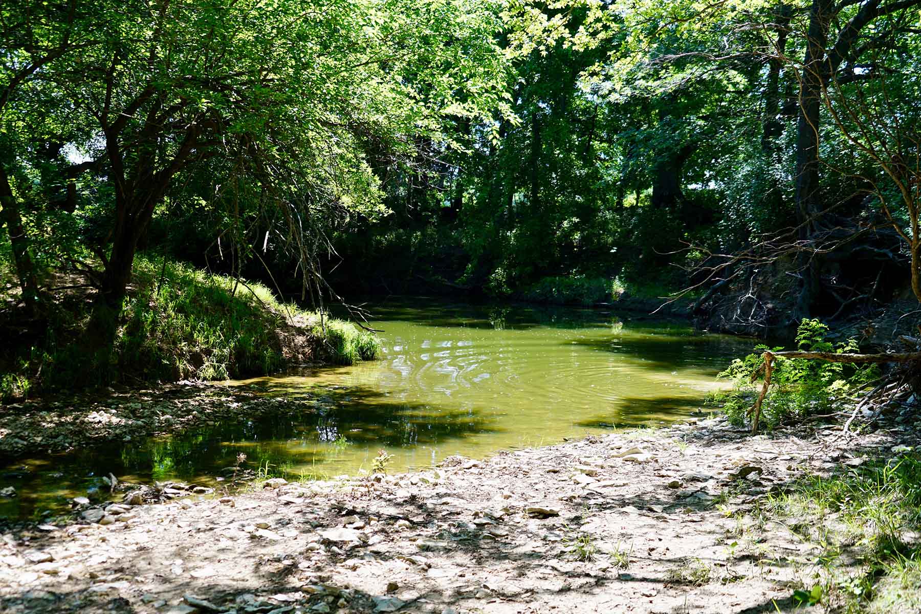 Whitmire Ranch property picture 60 of 108