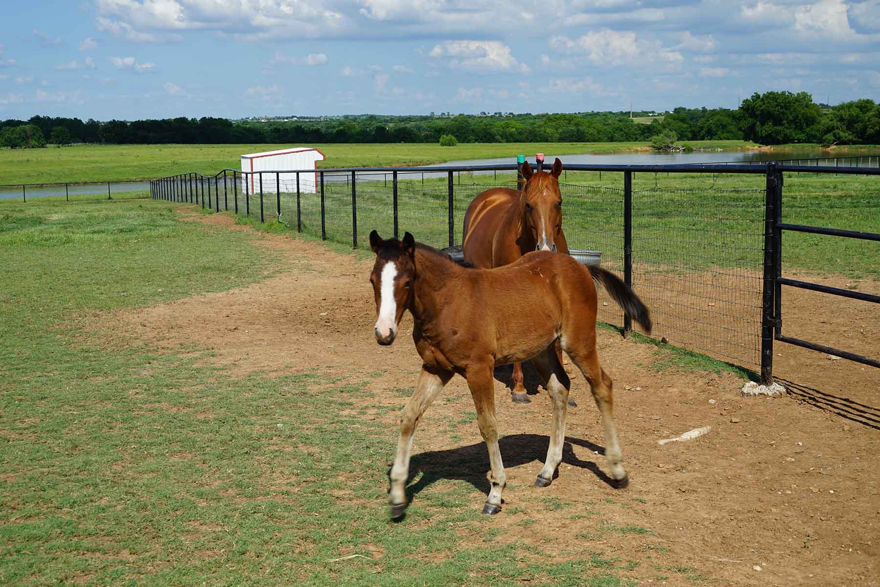 Whitmire Ranch property picture 63 of 108