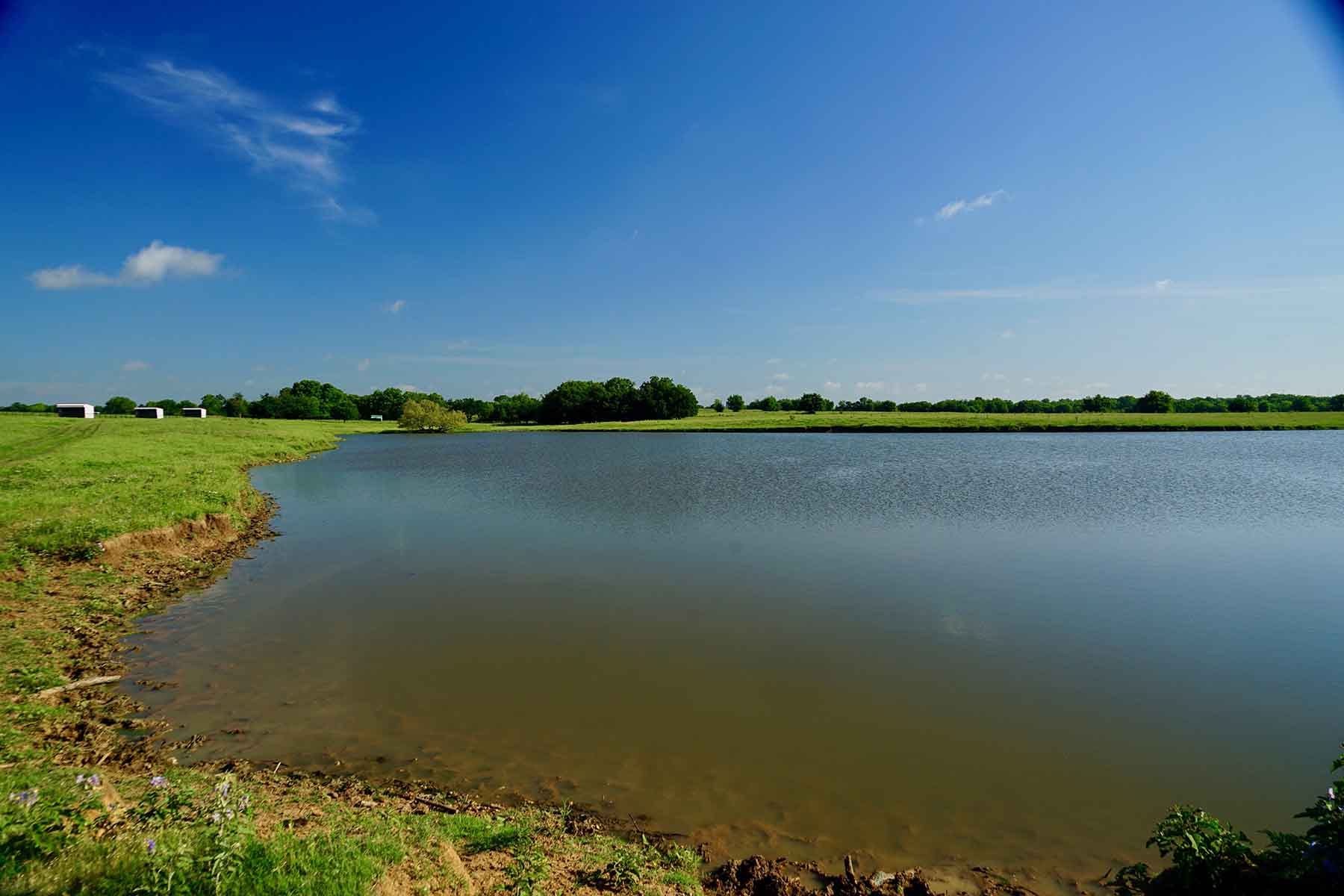 Whitmire Ranch property picture 21 of 108