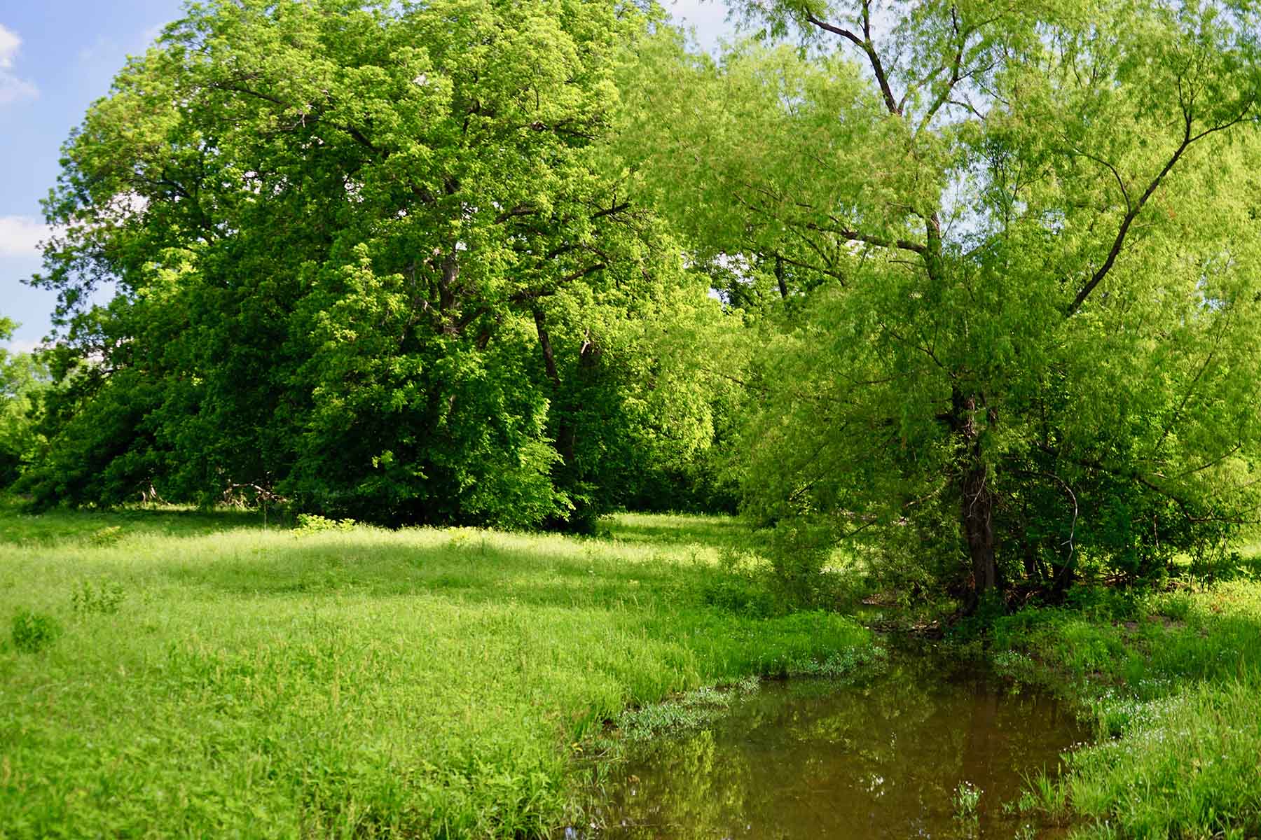 Whitmire Ranch property picture 58 of 108