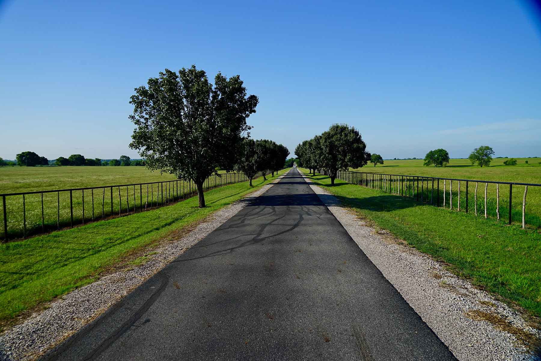 Whitmire Ranch property picture 12 of 108