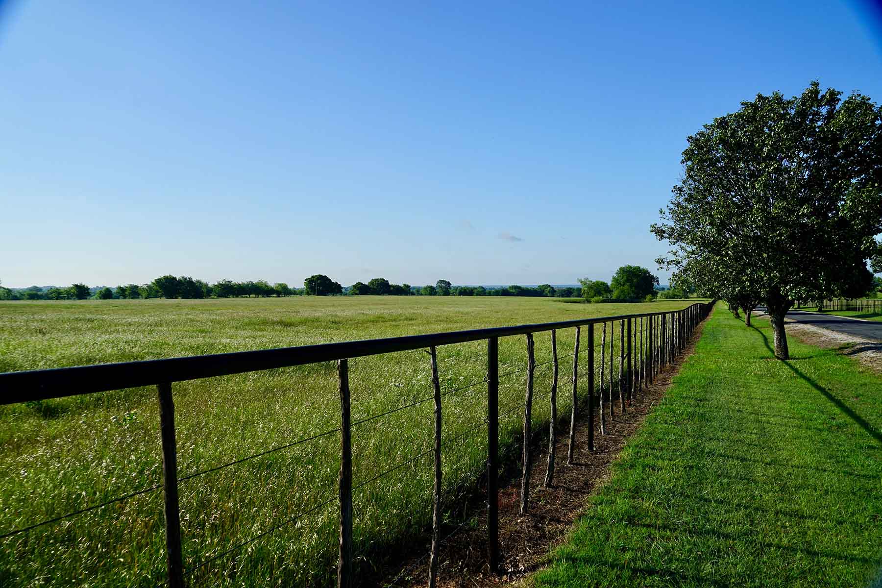 Whitmire Ranch property picture 14 of 108