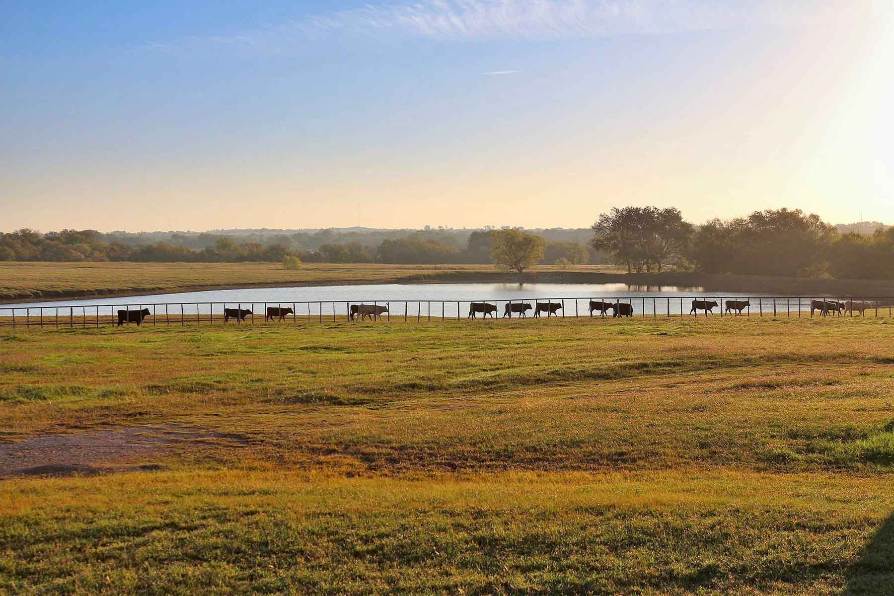 Whitmire Ranch property picture 68 of 108