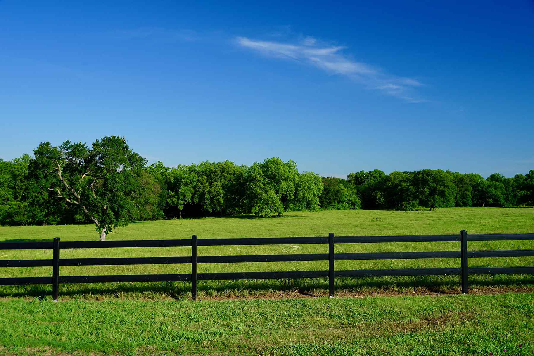 Whitmire Ranch property picture 11 of 108