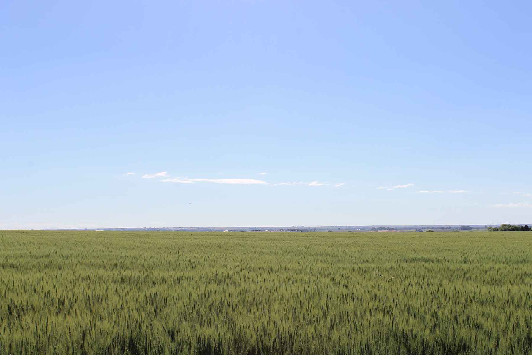 Fred Sekich Farm and Water property picture 2 of 14