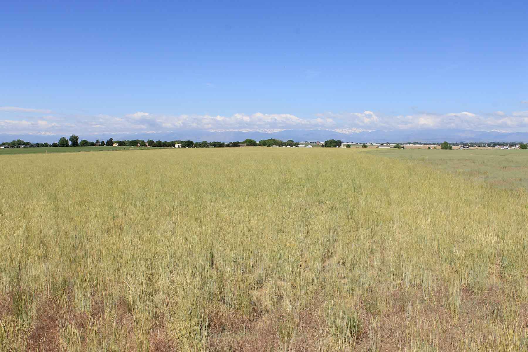 Fred Sekich Farm and Water property picture 6 of 14