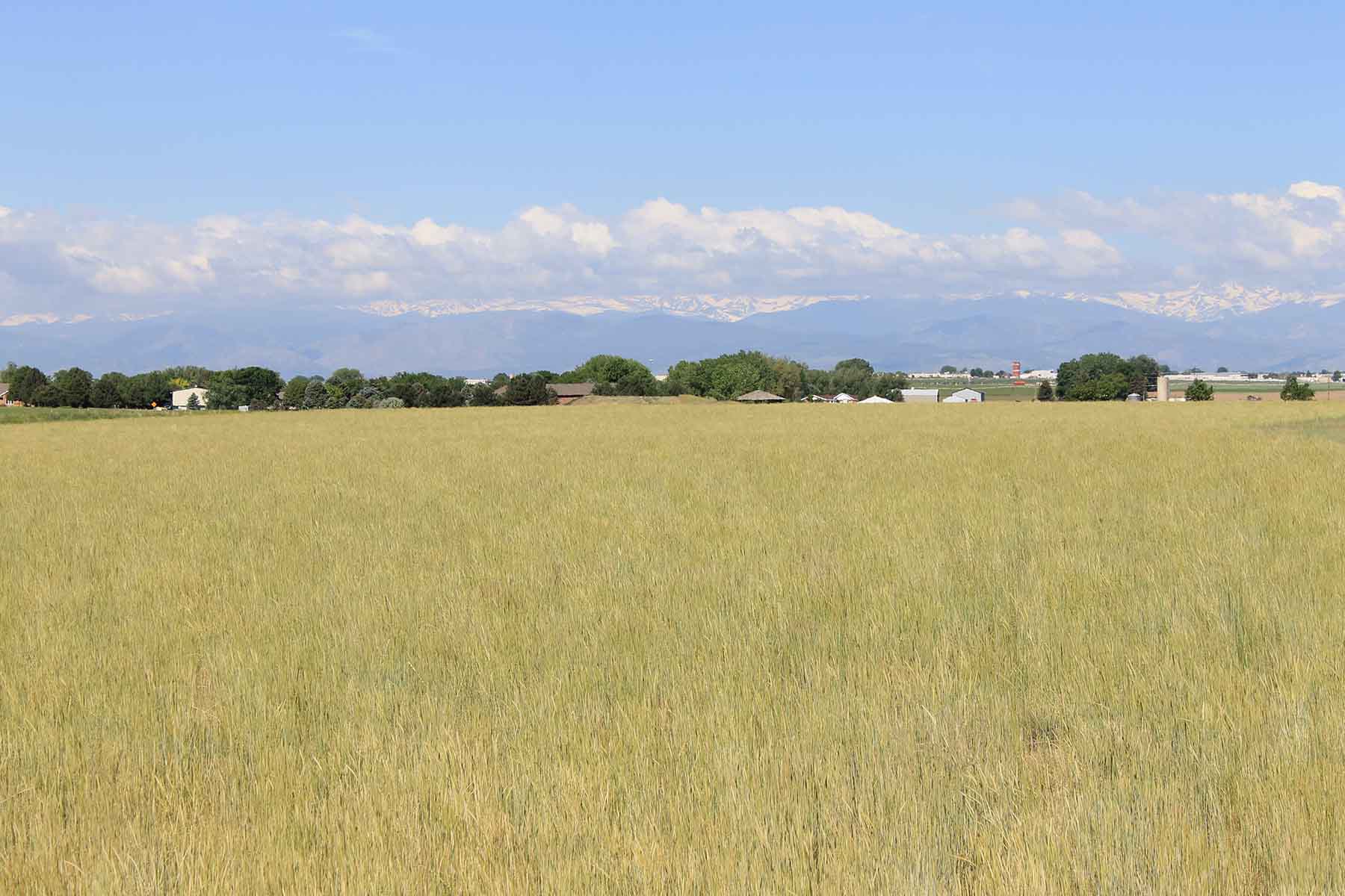 Fred Sekich Farm and Water property picture 7 of 14