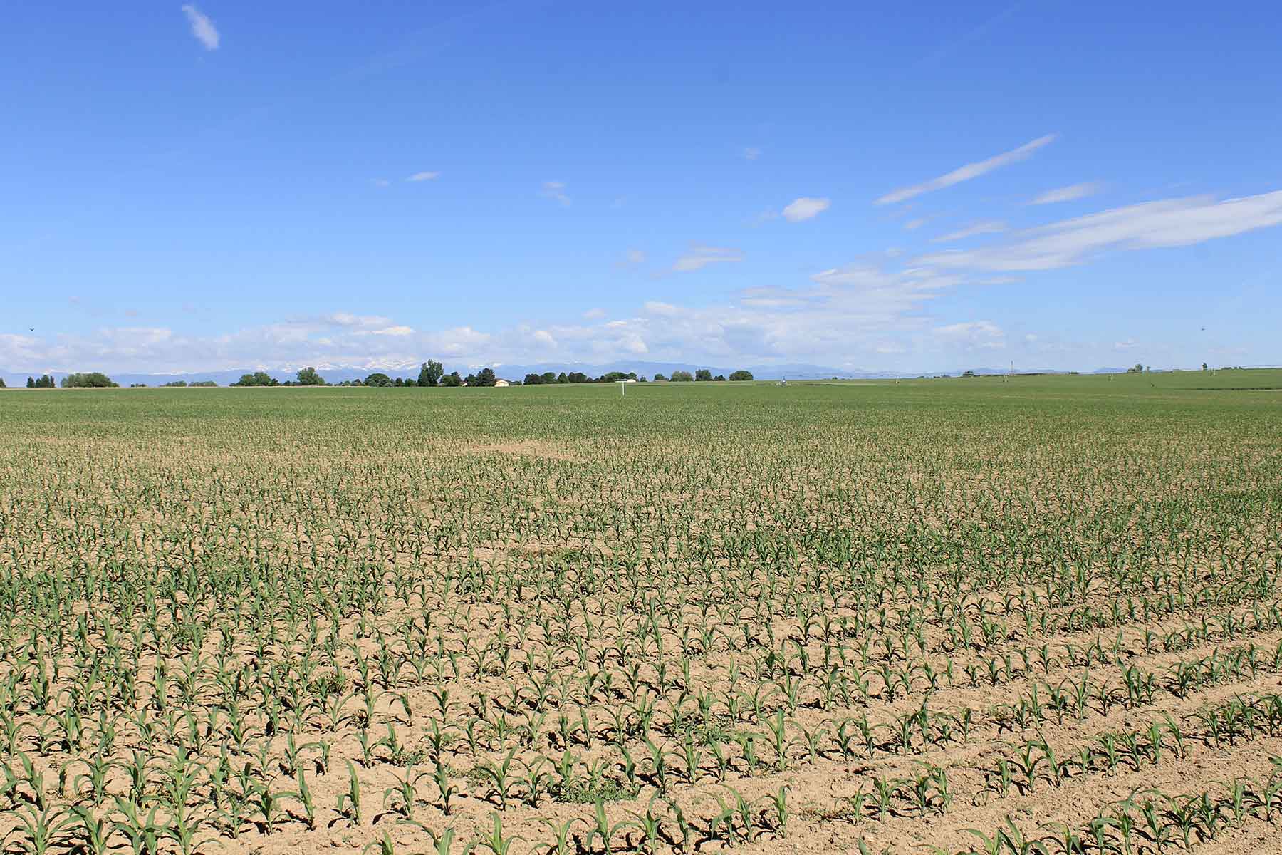 Fred Sekich Farm and Water property picture 4 of 14
