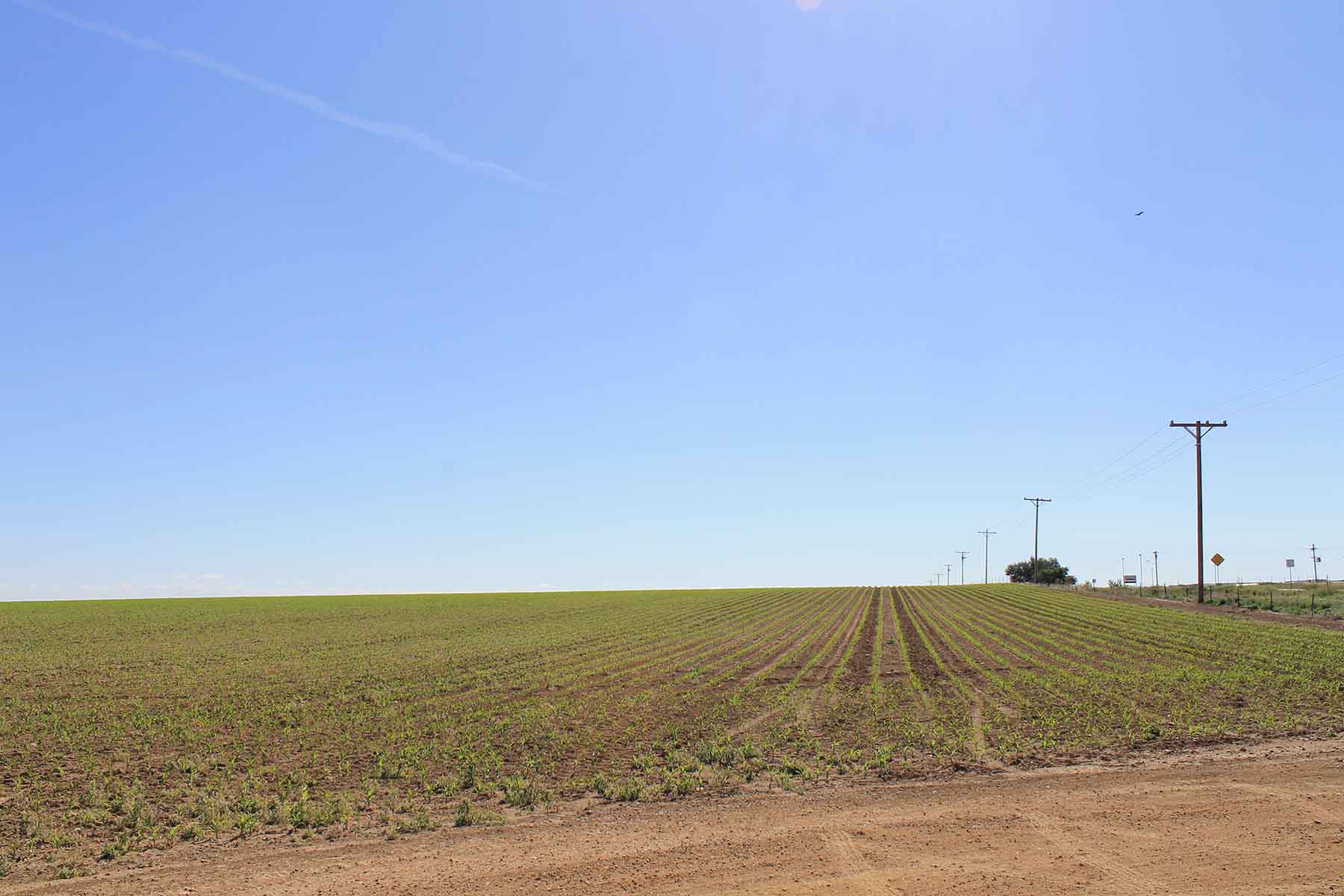 Fred Sekich Farm and Water property picture 3 of 14