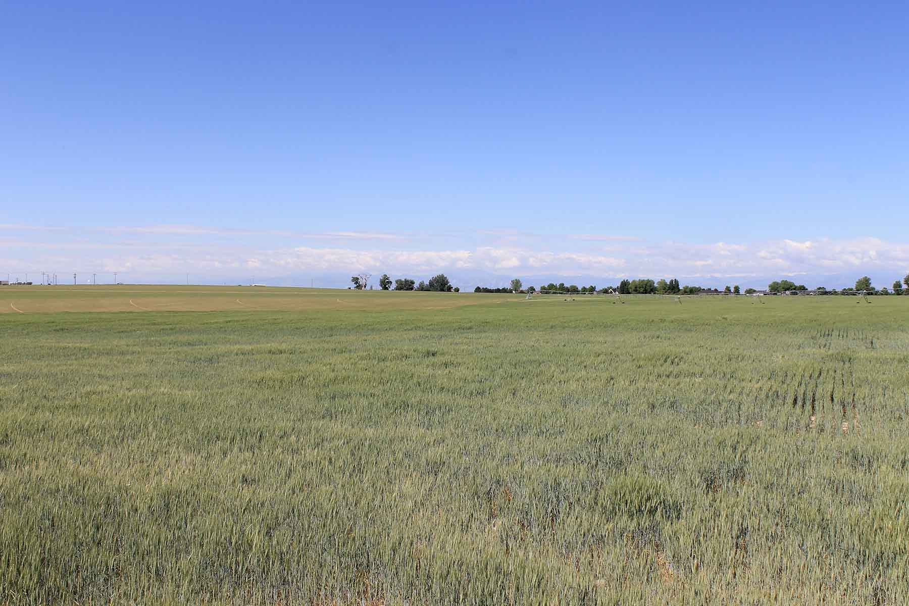 Fred Sekich Farm and Water property picture 5 of 14