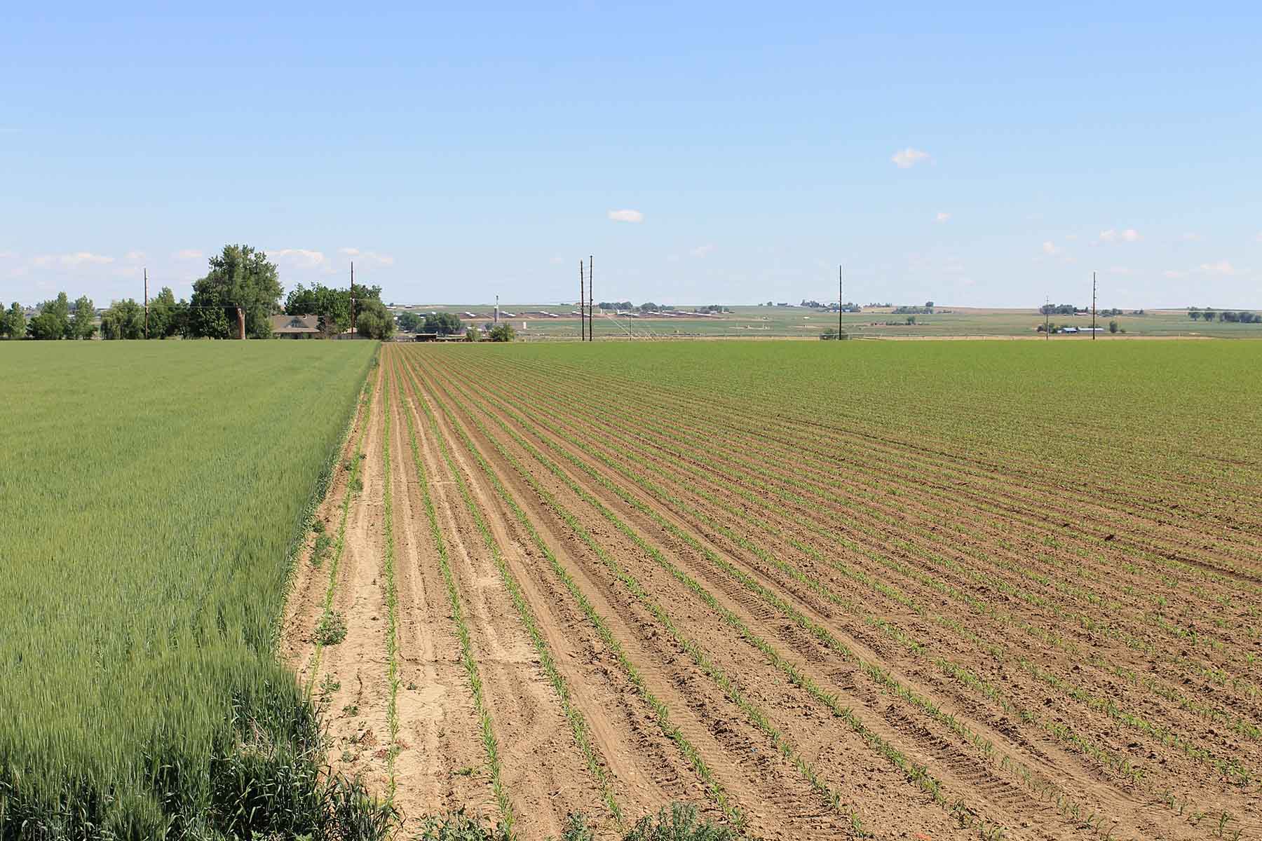 Fred Sekich Farm and Water property picture 11 of 14