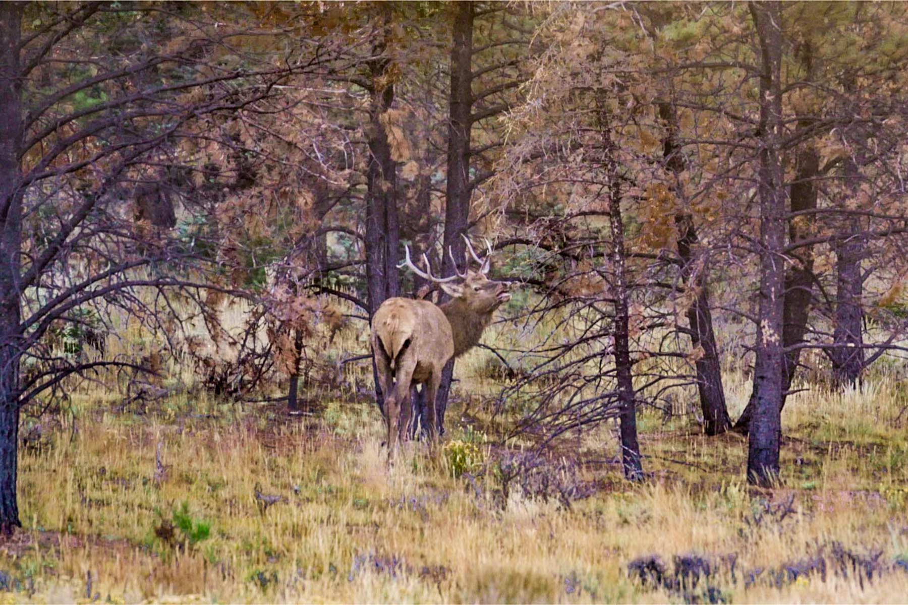 Winding River Ranch property picture 88 of 104