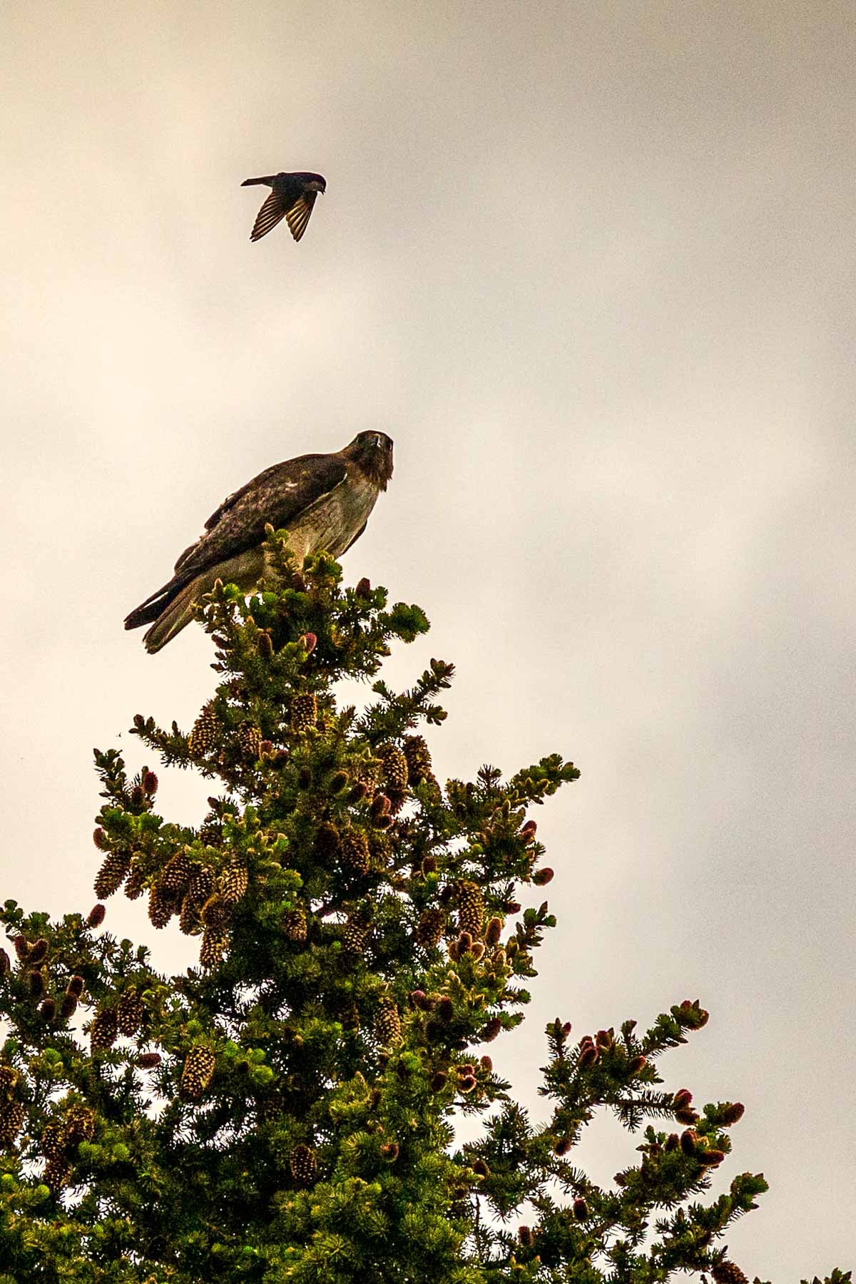 Winding River Ranch property picture 60 of 104