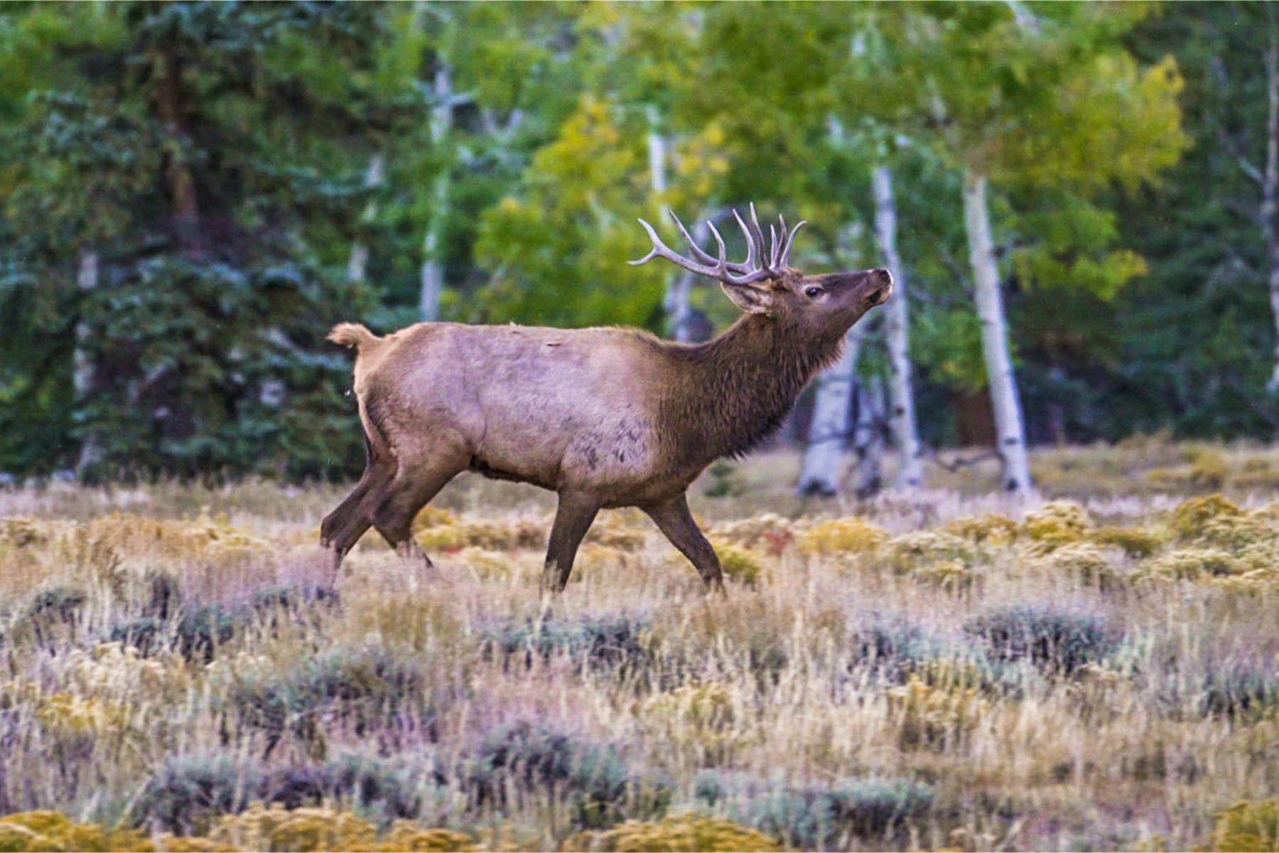 Winding River Ranch property picture 6 of 104