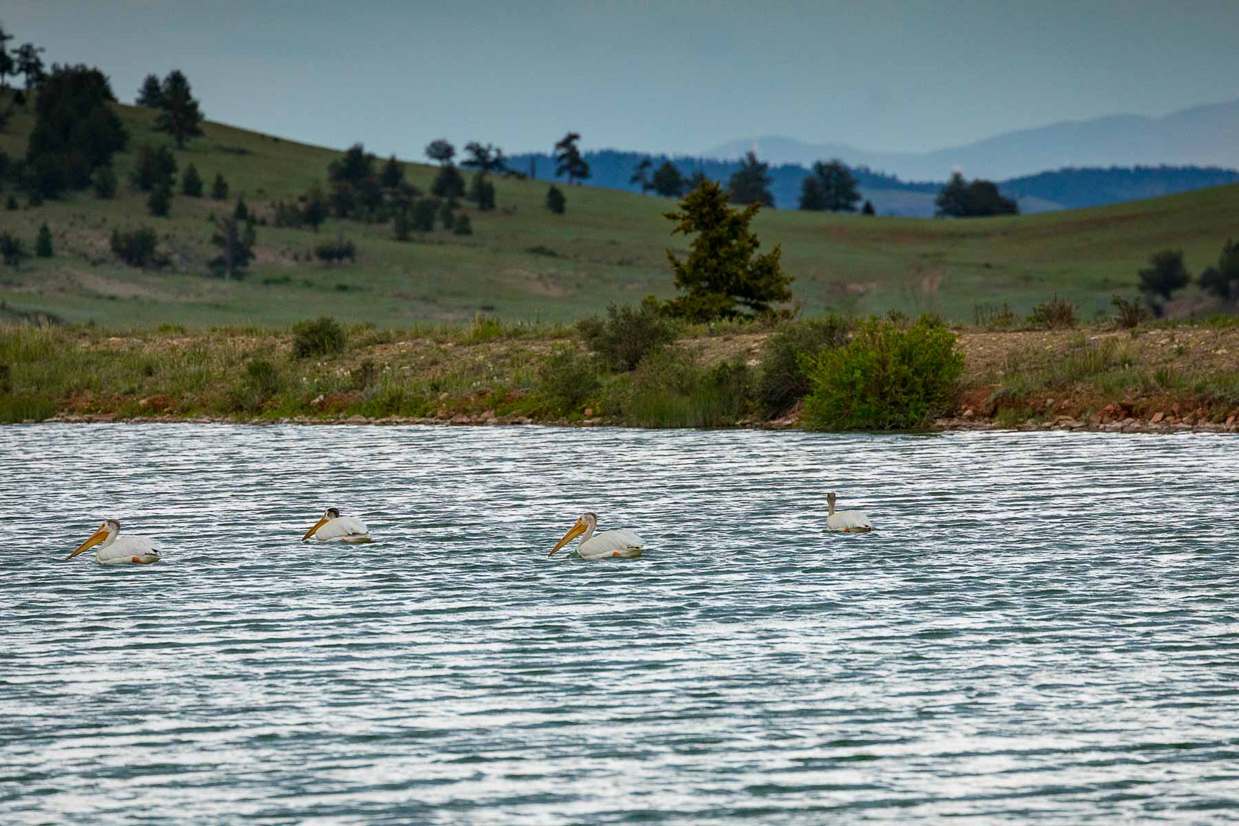 Winding River Ranch property picture 44 of 104