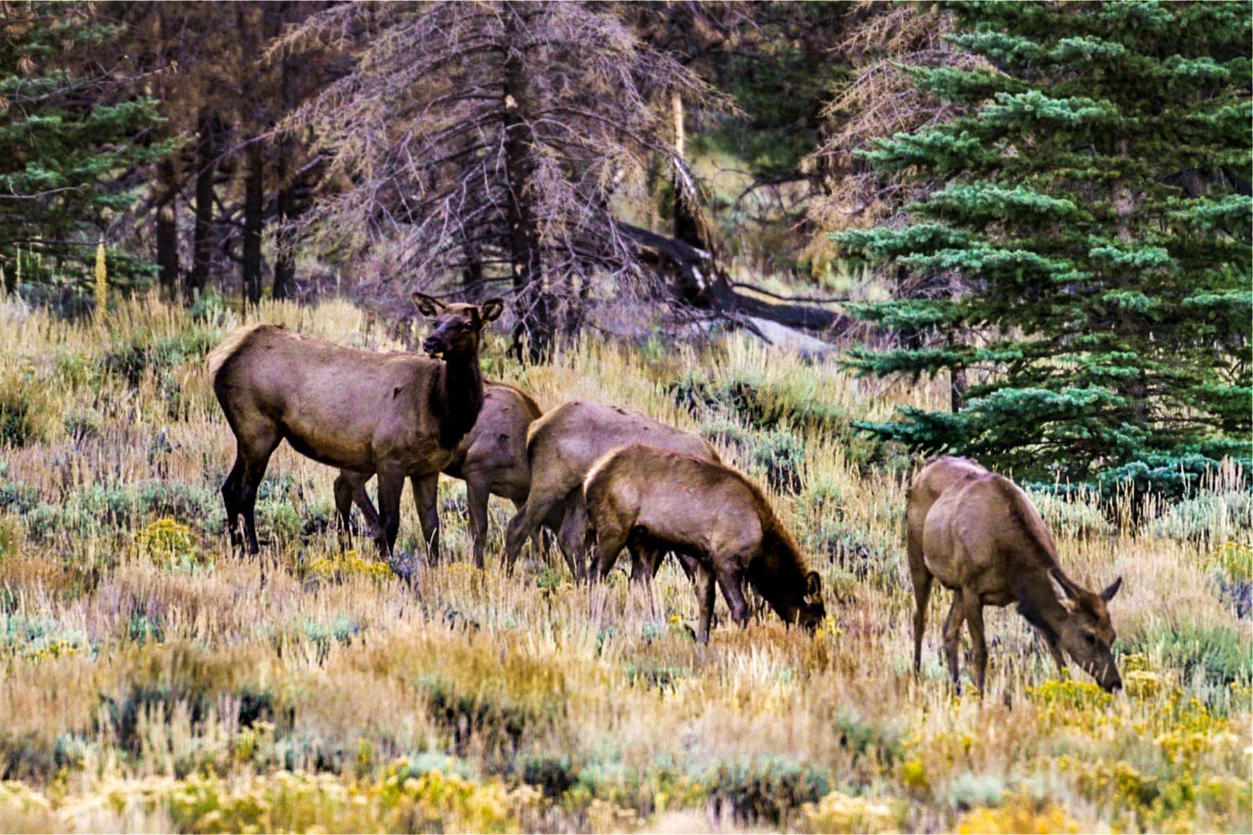 Winding River Ranch property picture 49 of 104