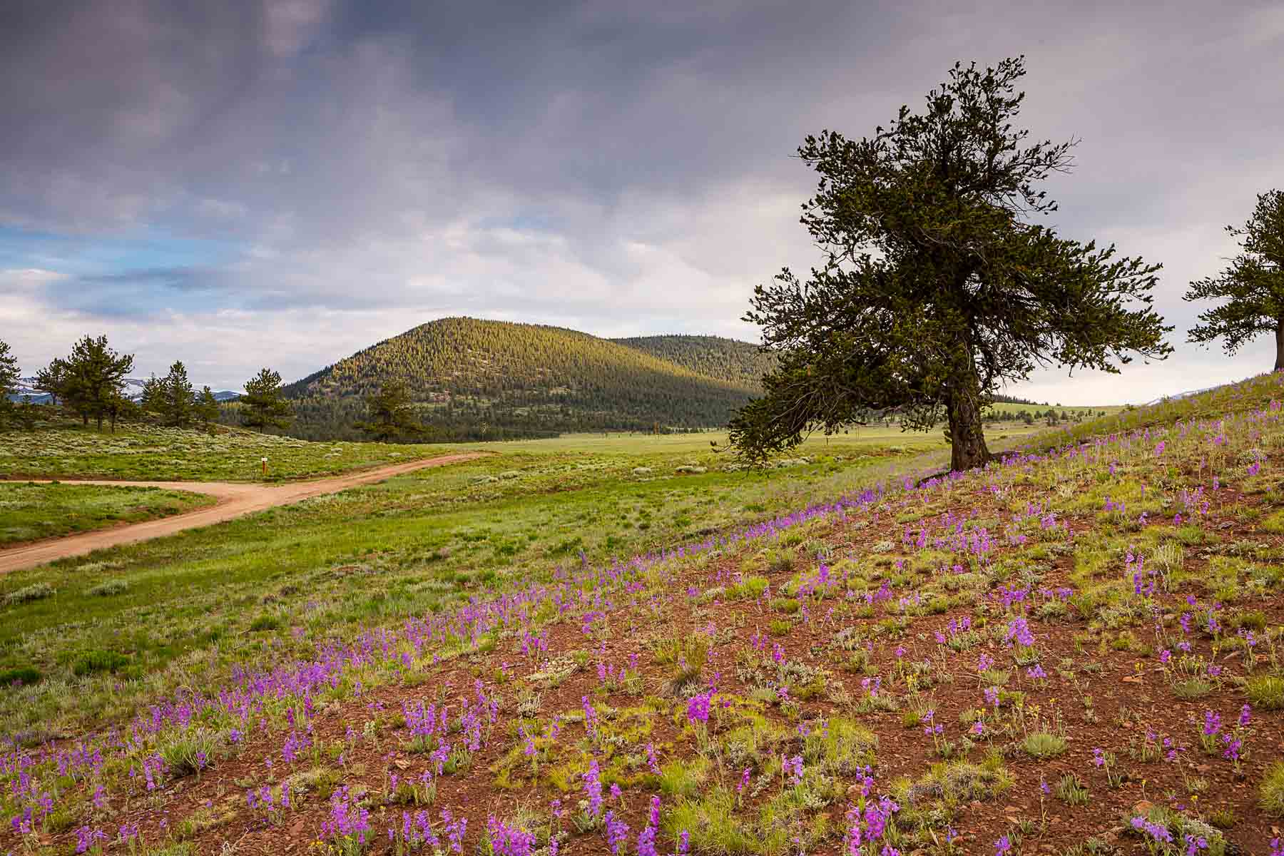 Winding River Ranch Sold Colorado Hall and Hall