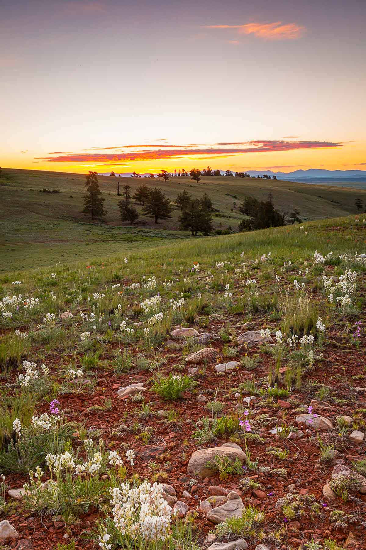 Winding River Ranch property picture 26 of 104