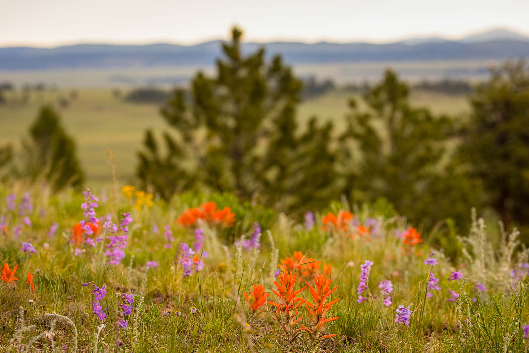 Winding River Ranch property picture 27 of 104