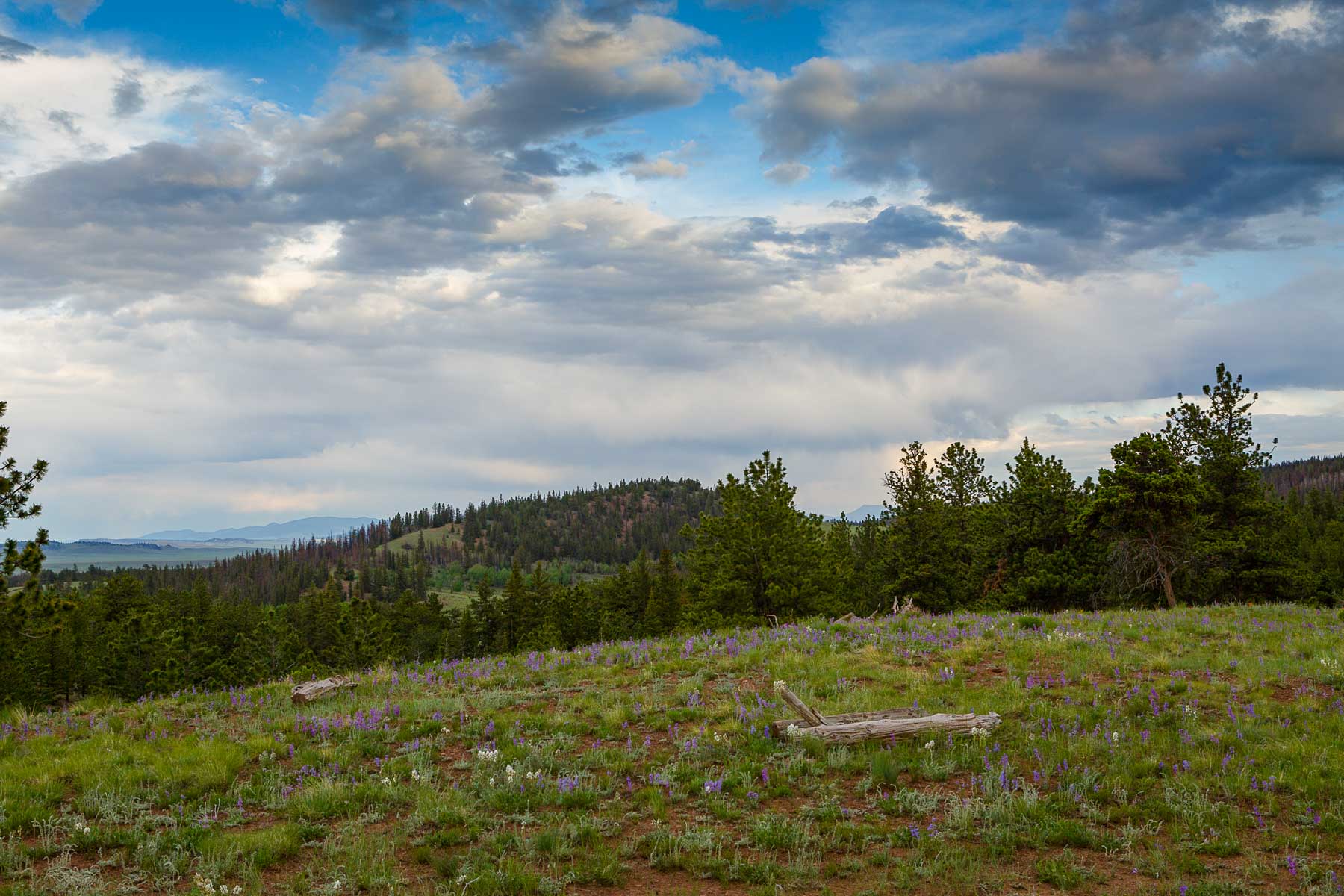 Winding River Ranch property picture 55 of 104