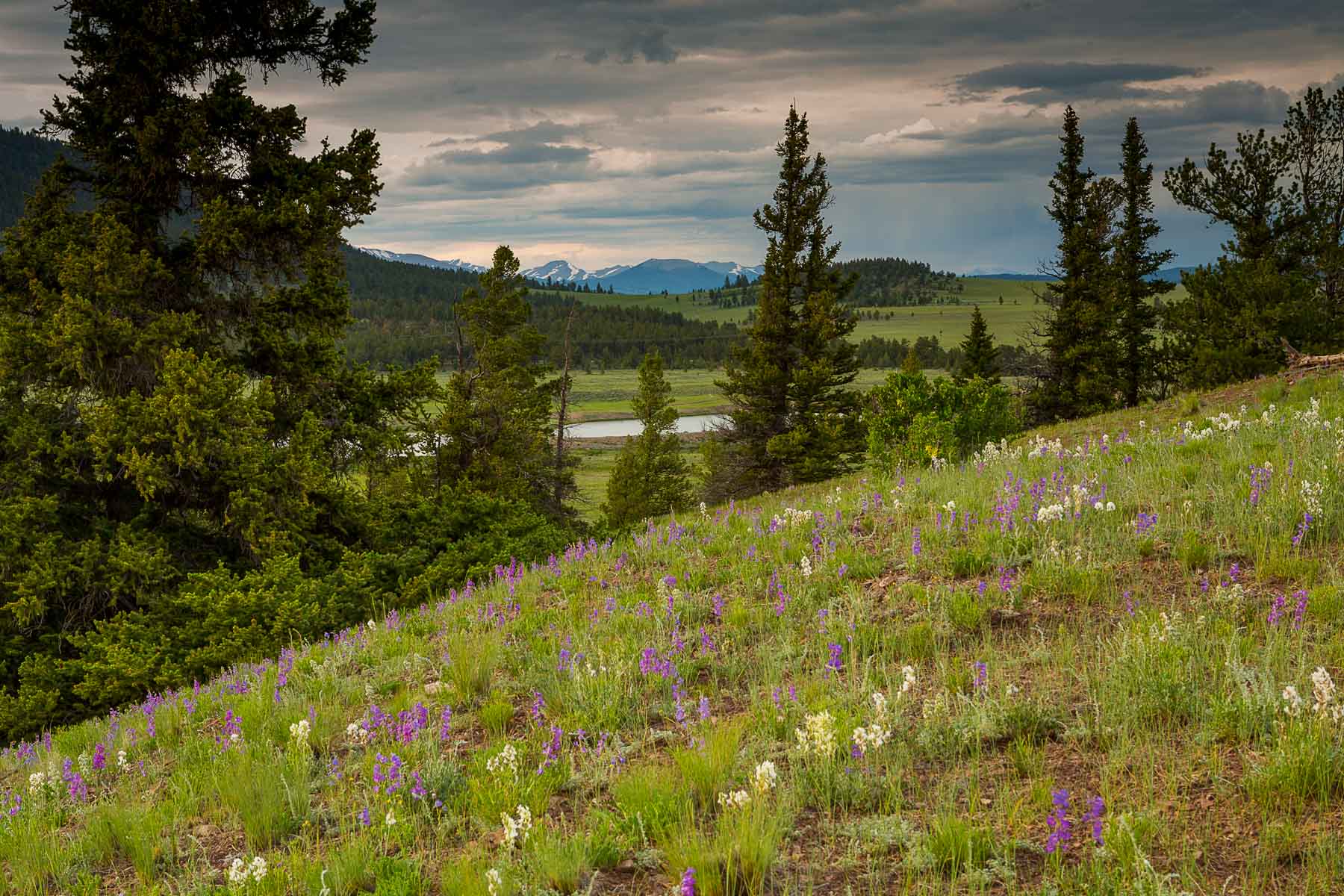 Winding River Ranch Sold Colorado Hall and Hall