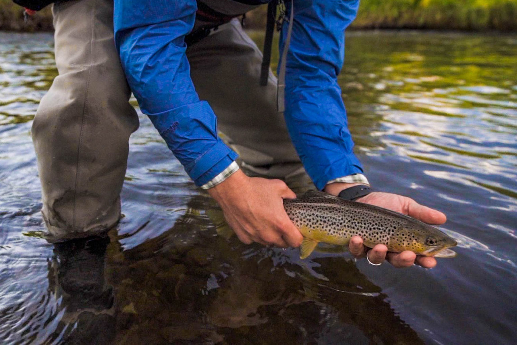 Winding River Ranch property picture 64 of 104