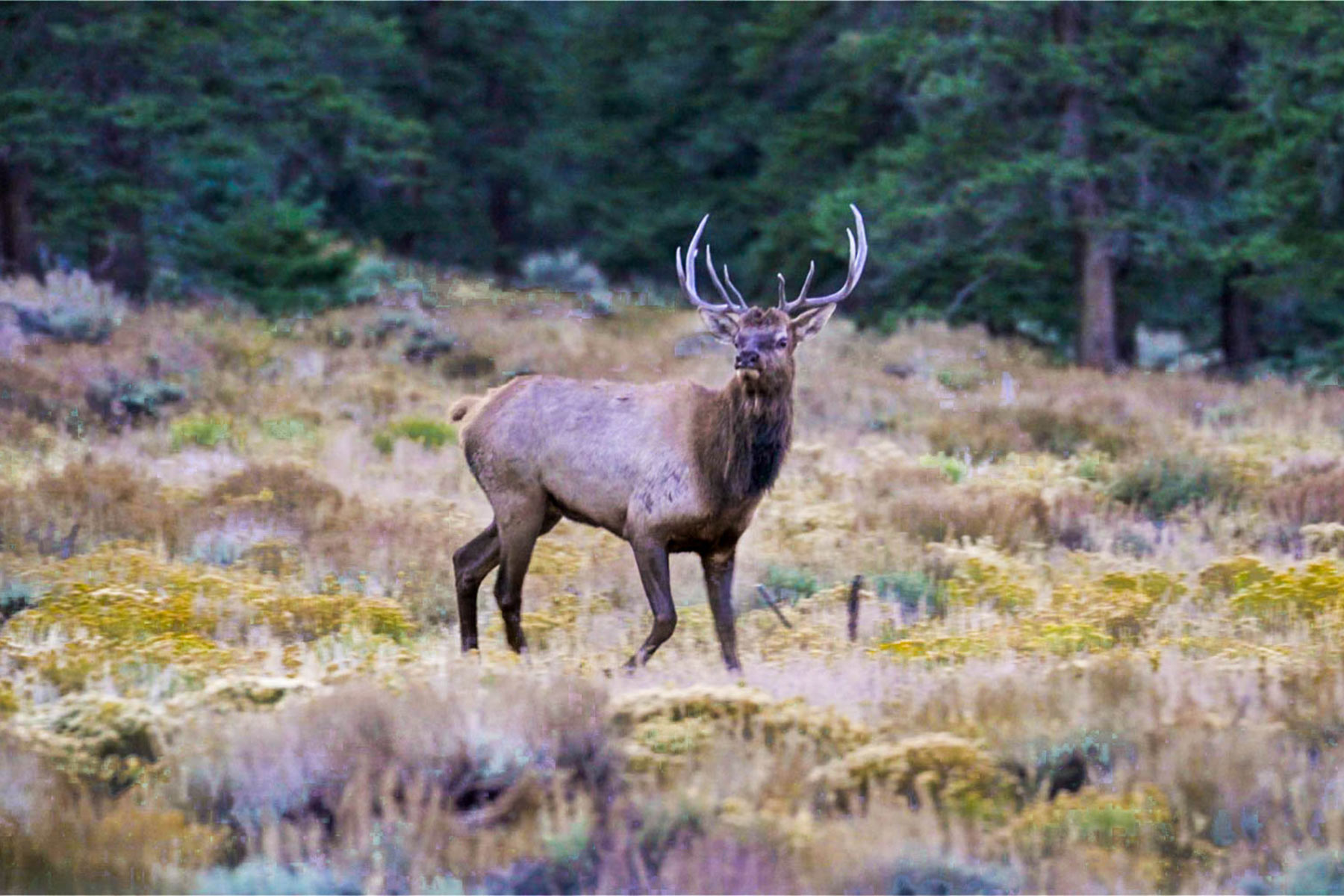 Winding River Ranch property picture 33 of 104