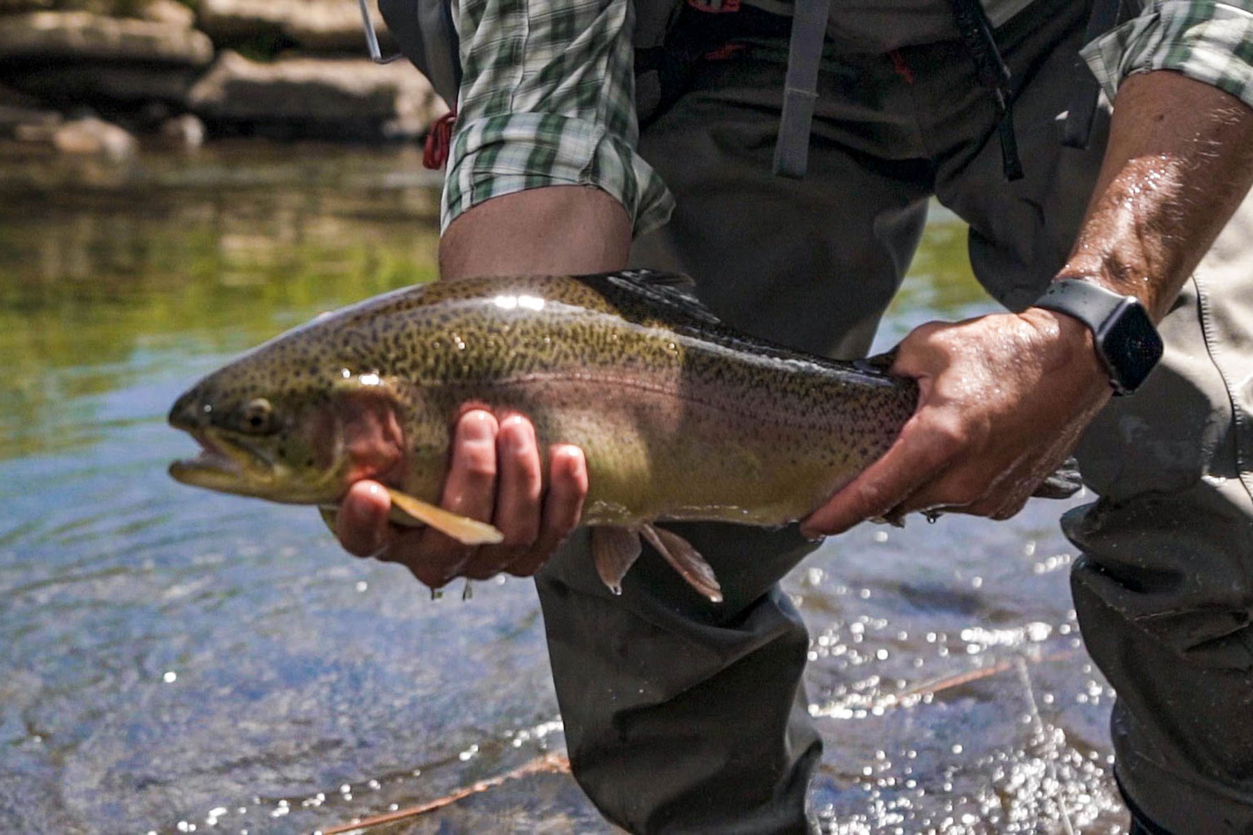 Winding River Ranch property picture 38 of 104