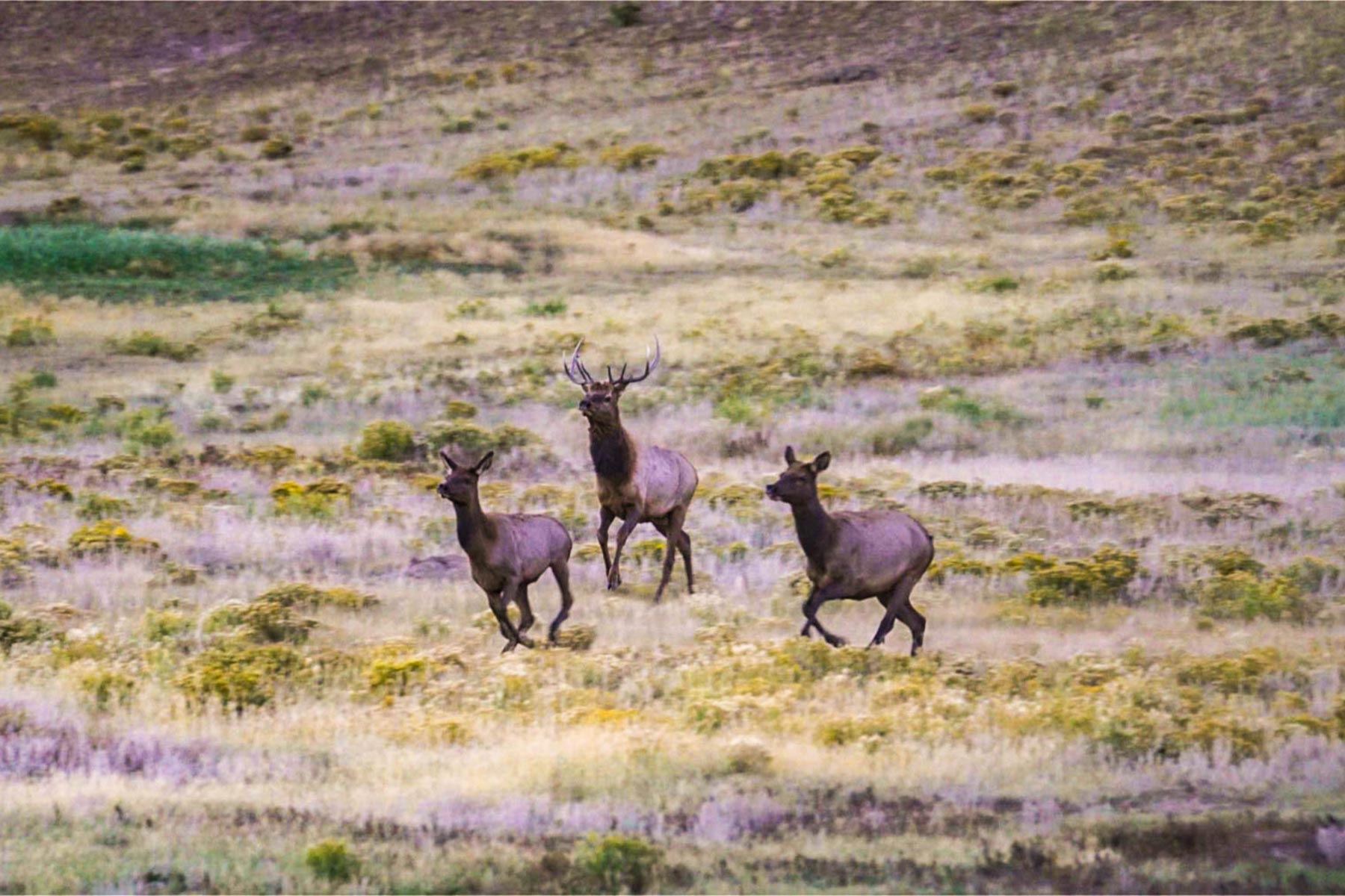 Winding River Ranch property picture 65 of 104