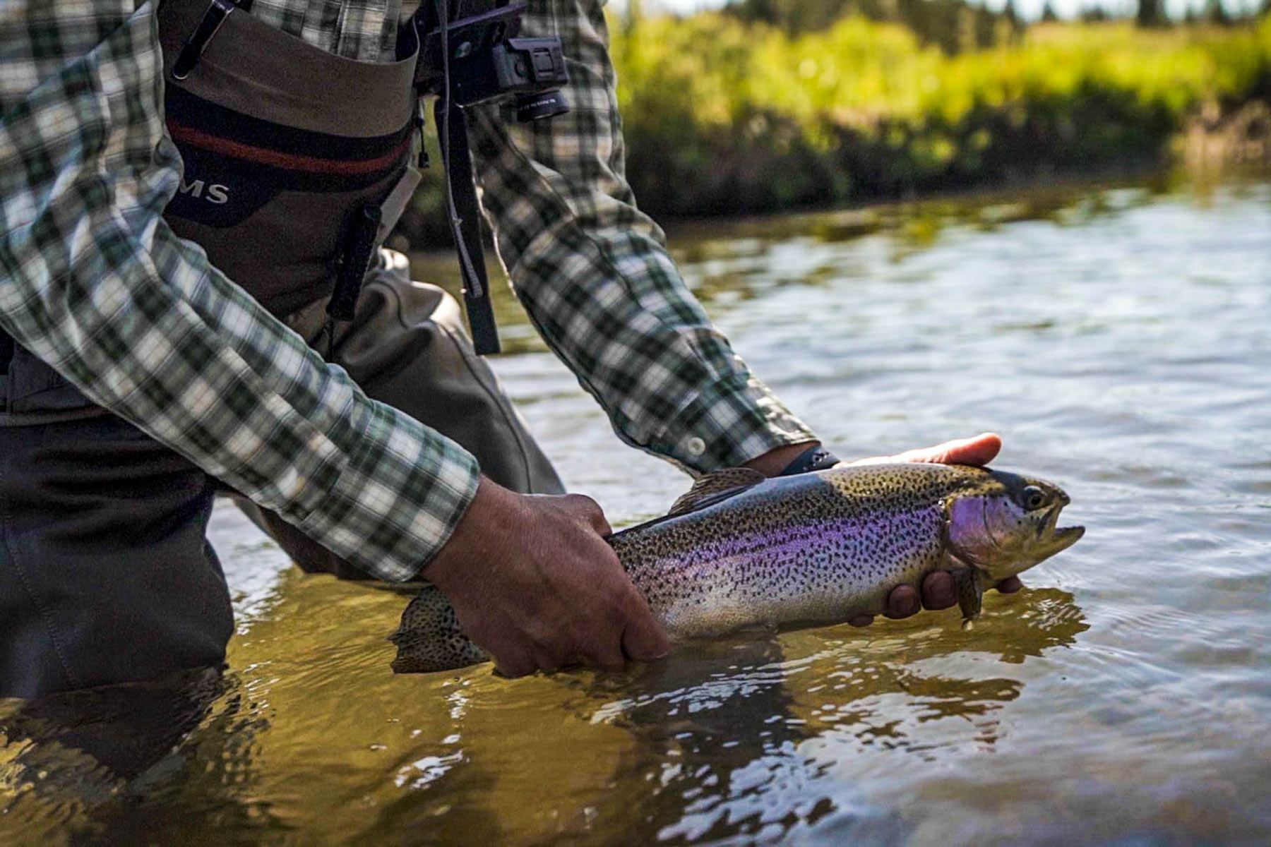 Winding River Ranch property picture 89 of 104
