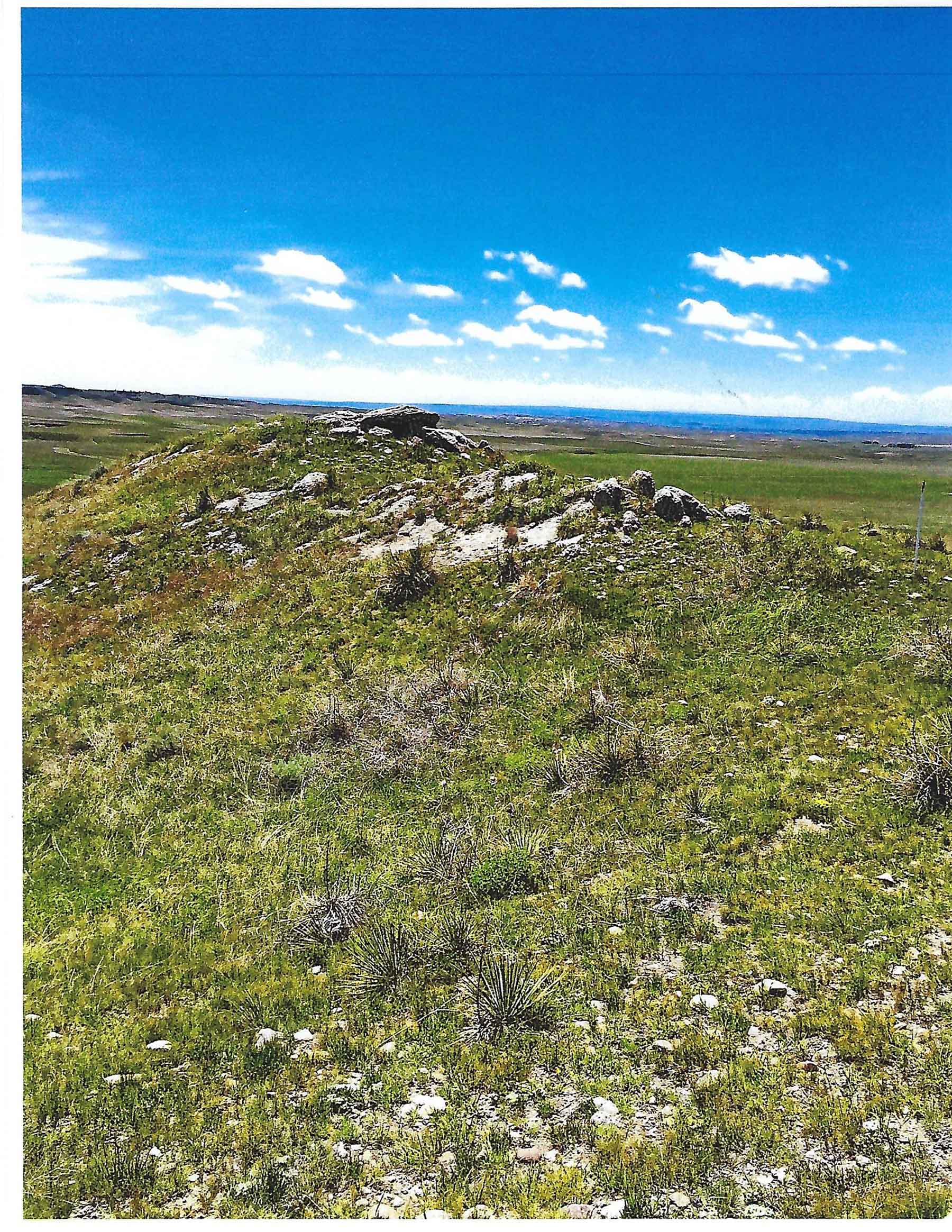 Pine Ridge Ranch property picture 28 of 46