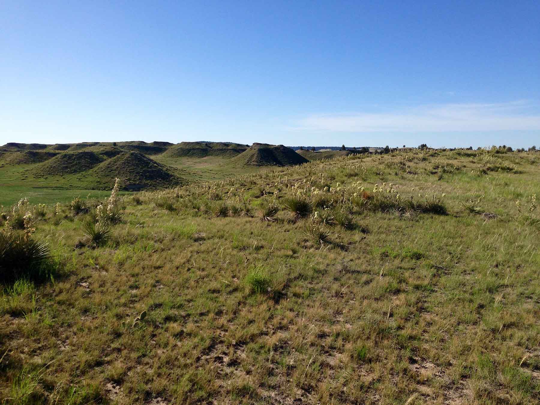 Pine Ridge Ranch property picture 8 of 46