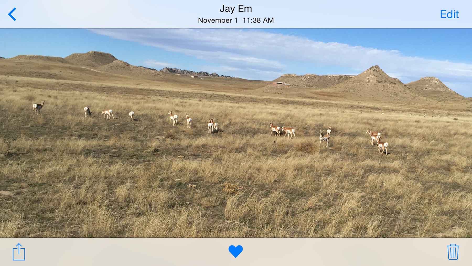 Pine Ridge Ranch property picture 15 of 46