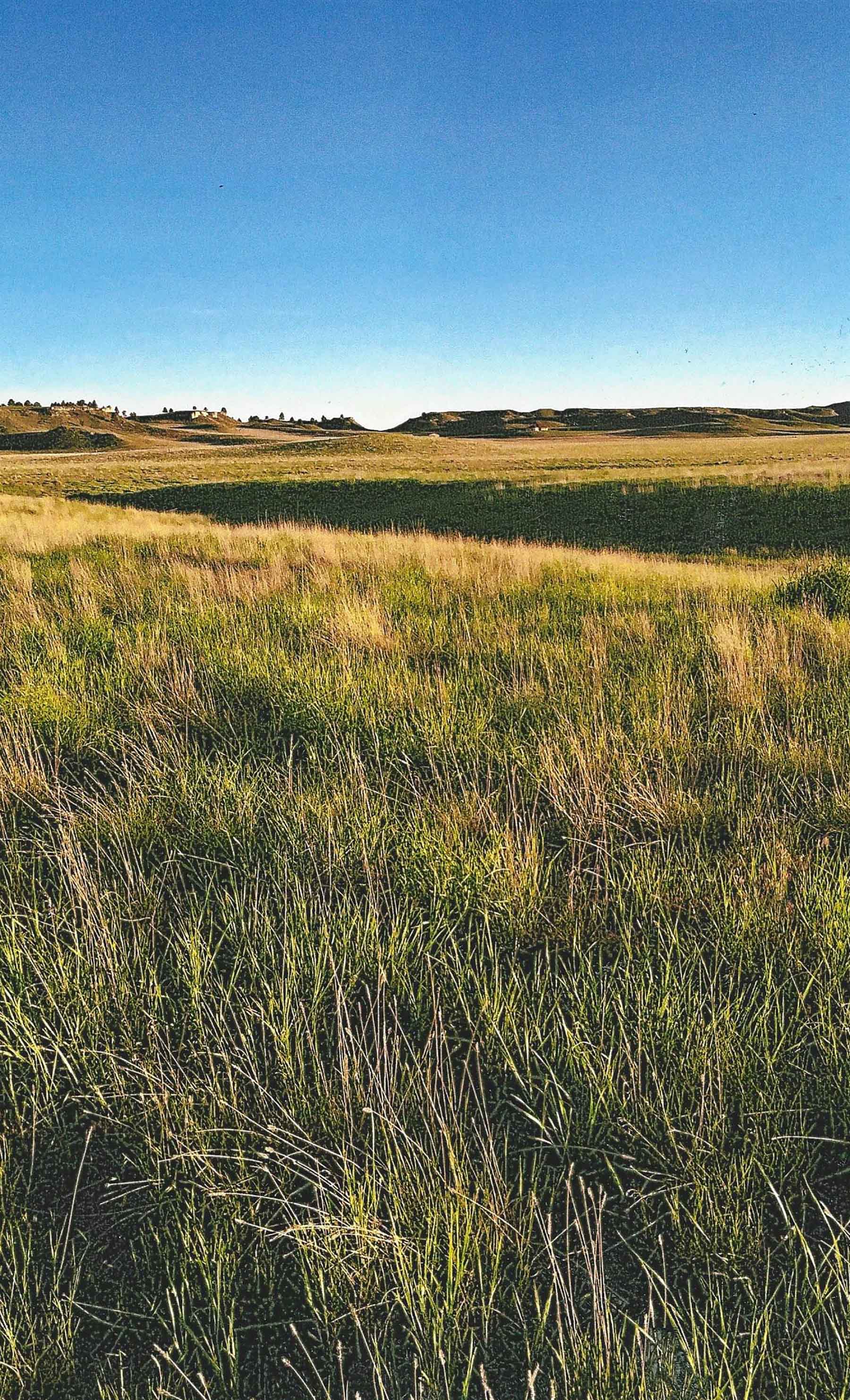 Pine Ridge Ranch property picture 25 of 46