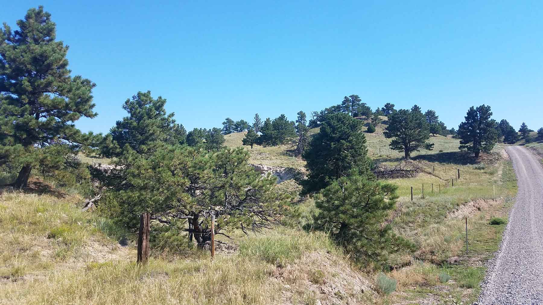 Pine Ridge Ranch property picture 11 of 46