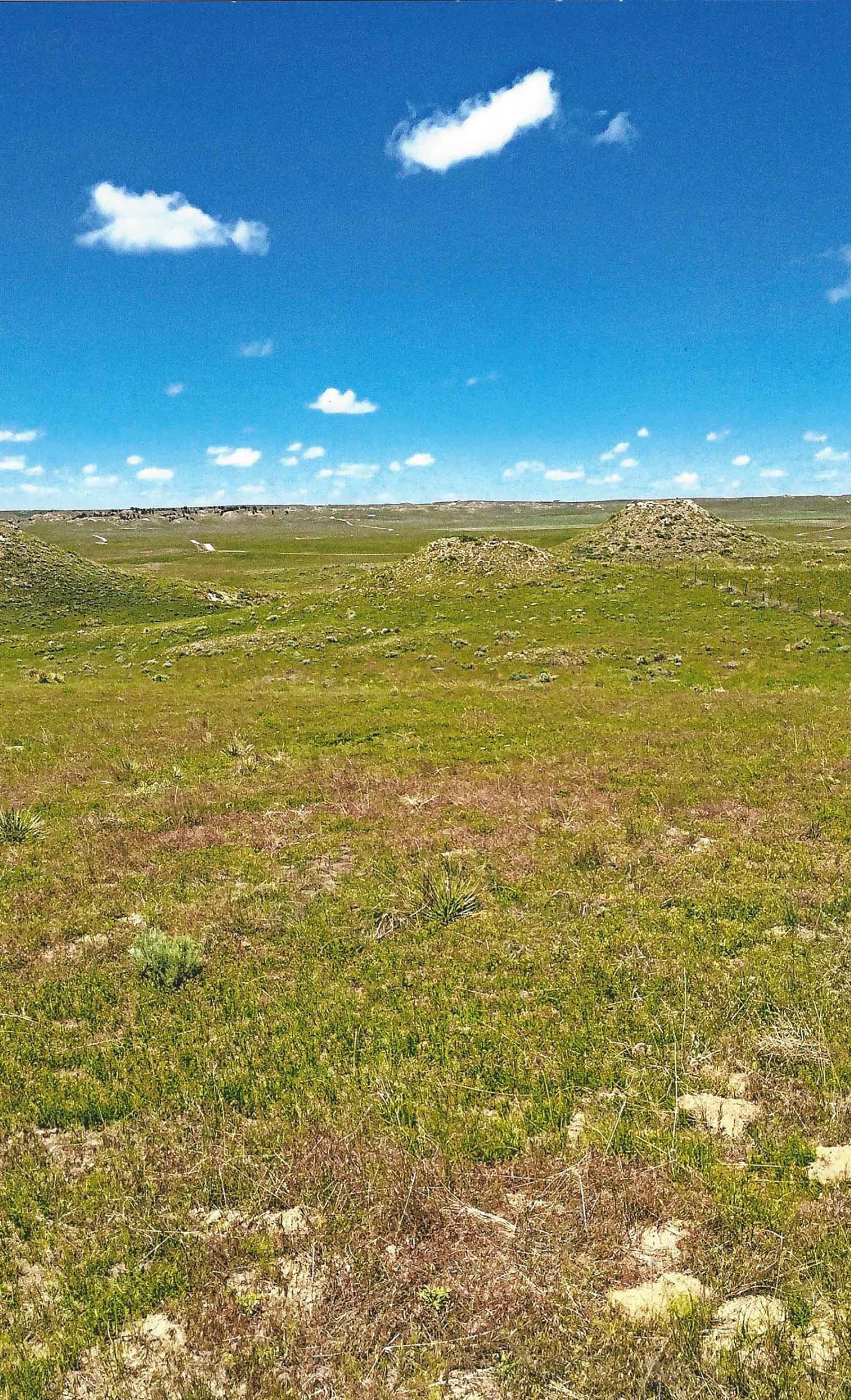 Pine Ridge Ranch property picture 10 of 46