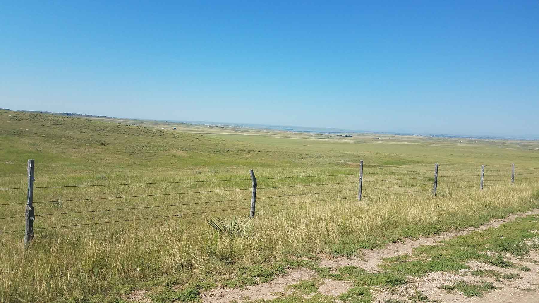 Pine Ridge Ranch property picture 27 of 46