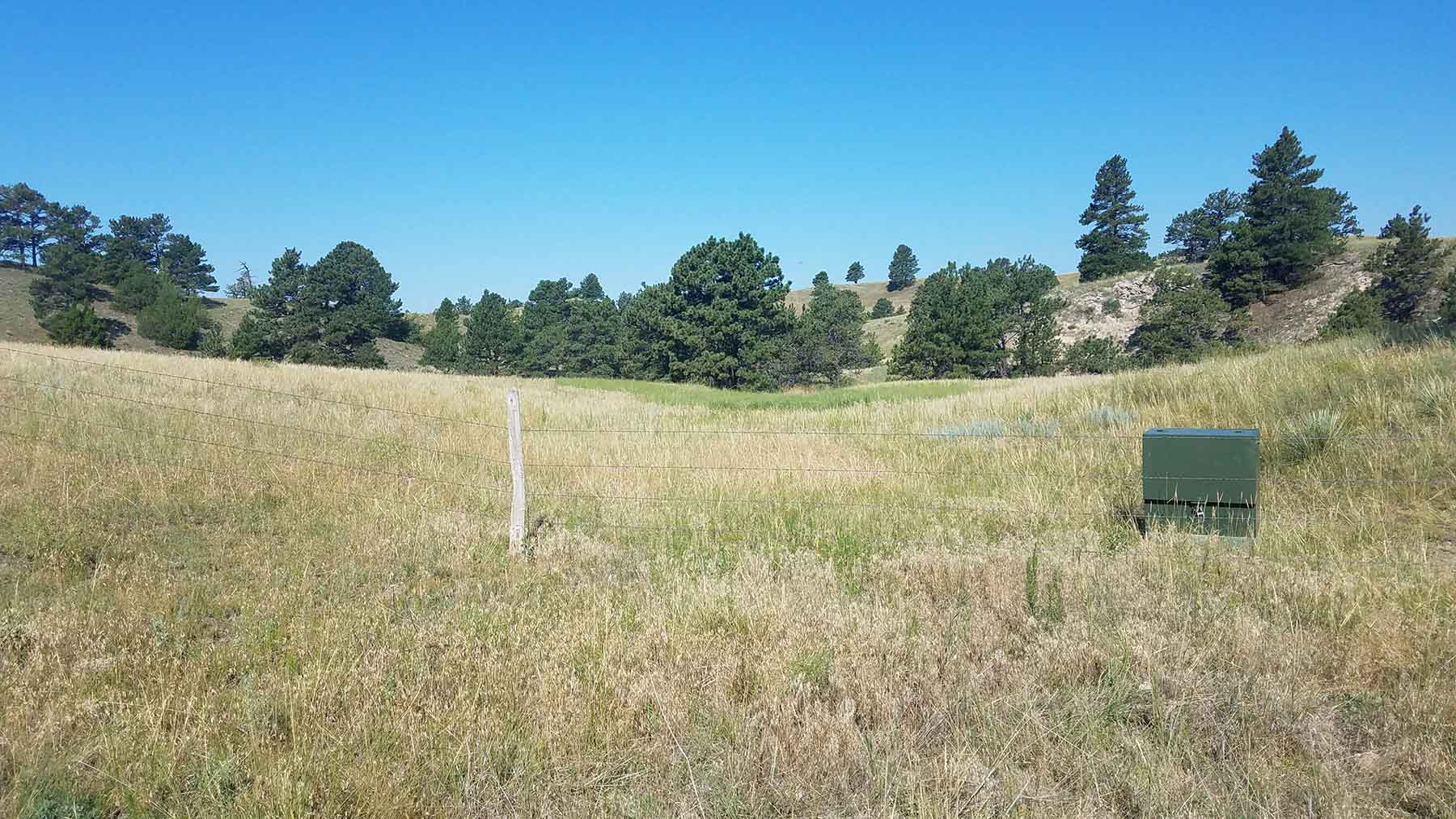 Pine Ridge Ranch property picture 12 of 46