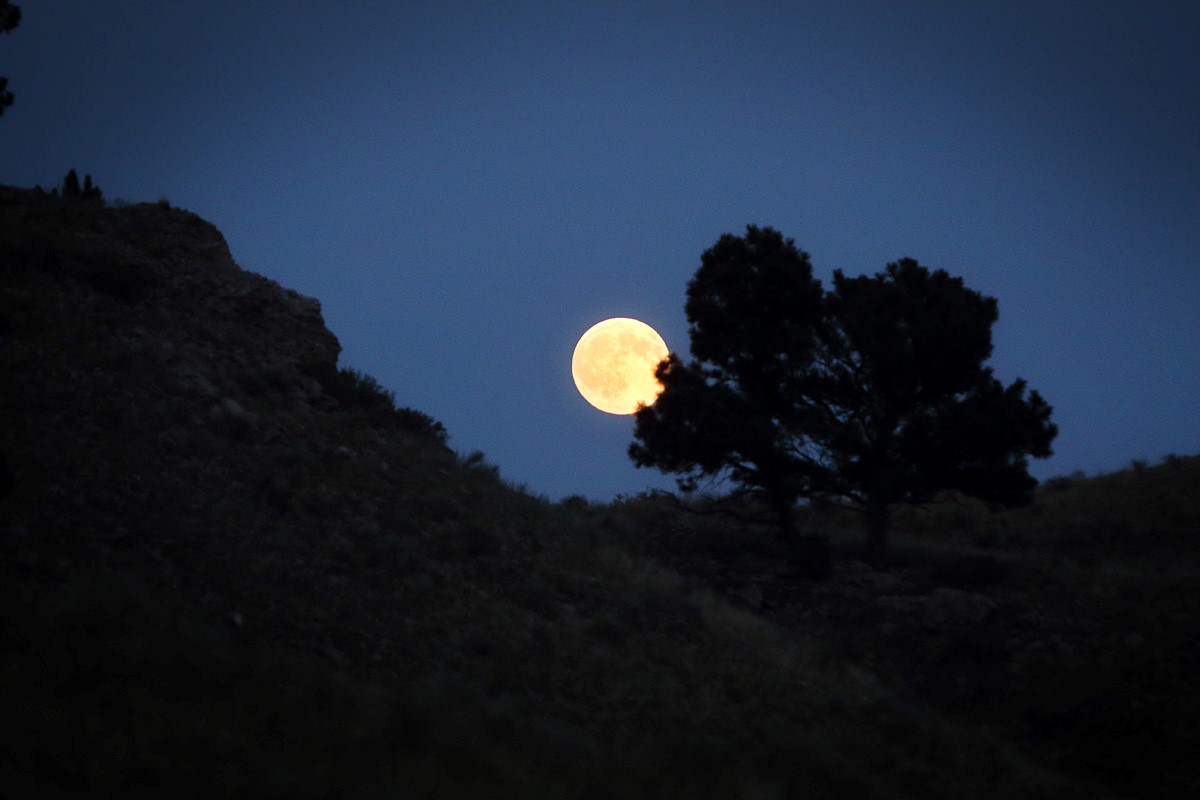 Pine Ridge Ranch property picture 35 of 46