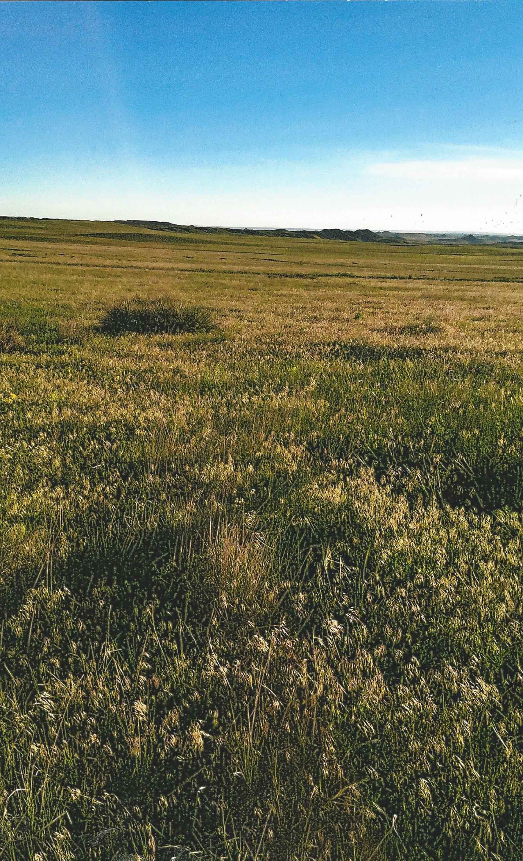 Pine Ridge Ranch property picture 26 of 46