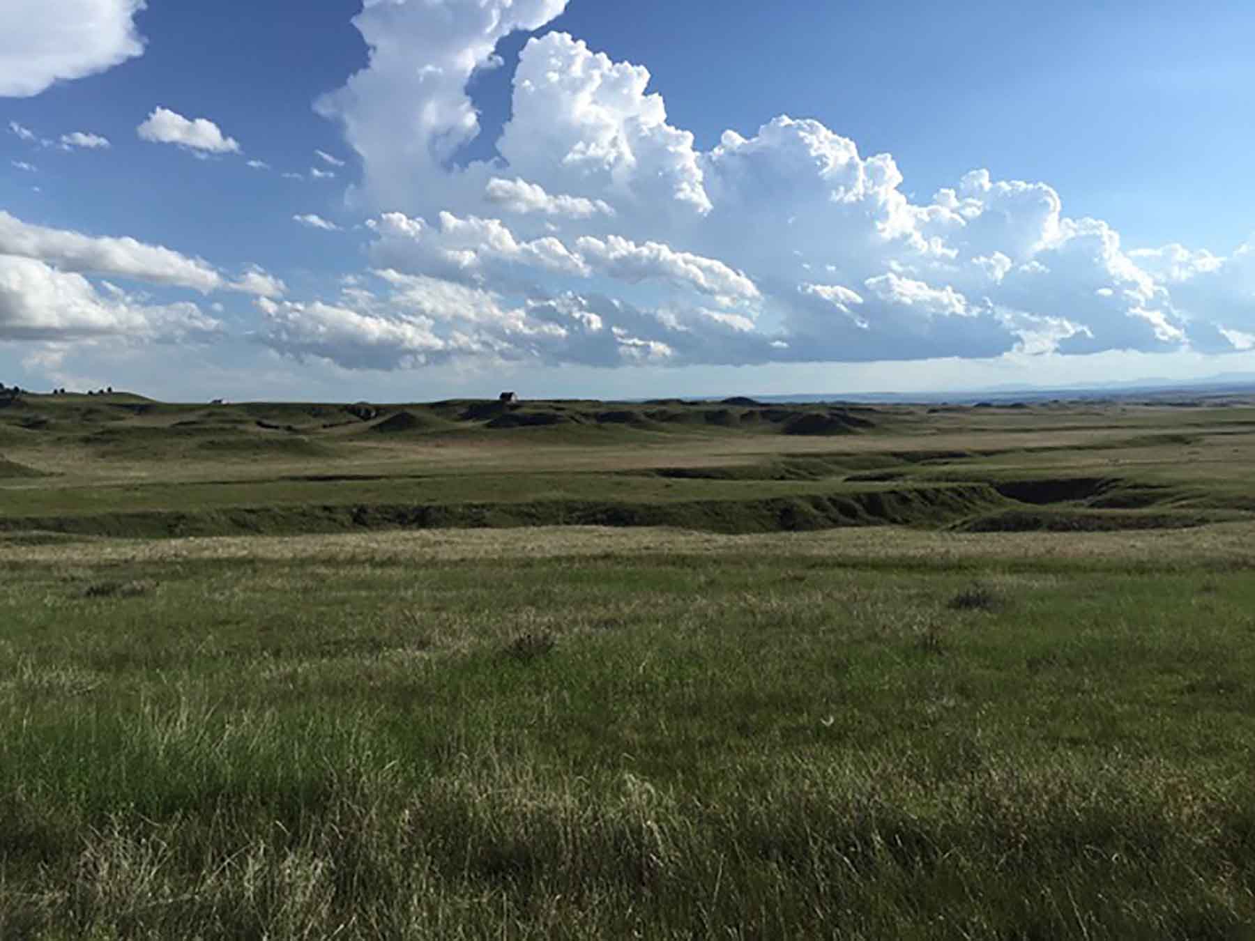 Pine Ridge Ranch property picture 5 of 46